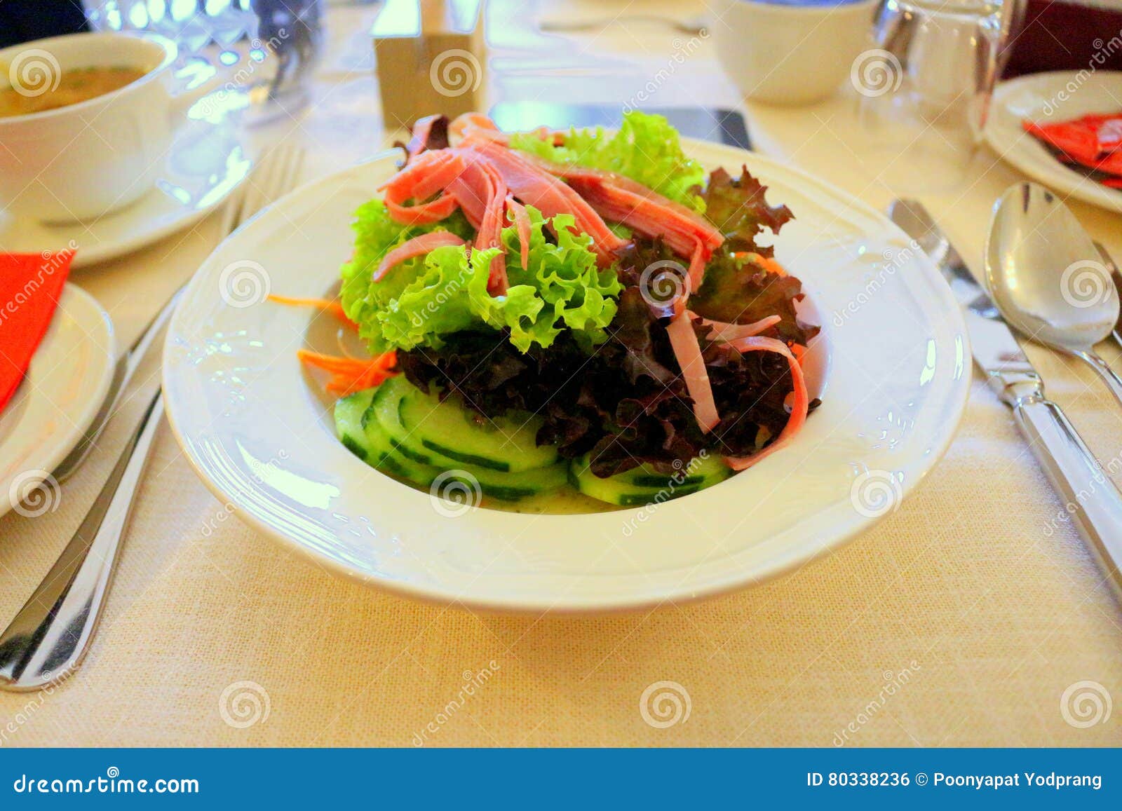 De gezondheid van het saladevoedsel. Saladevoedsel voor gezondheid en deliciousn