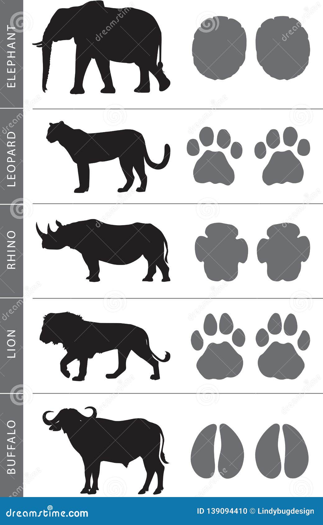 De Grote Vijf Vector - Illustration of dieren, voetafdrukken: 139094410