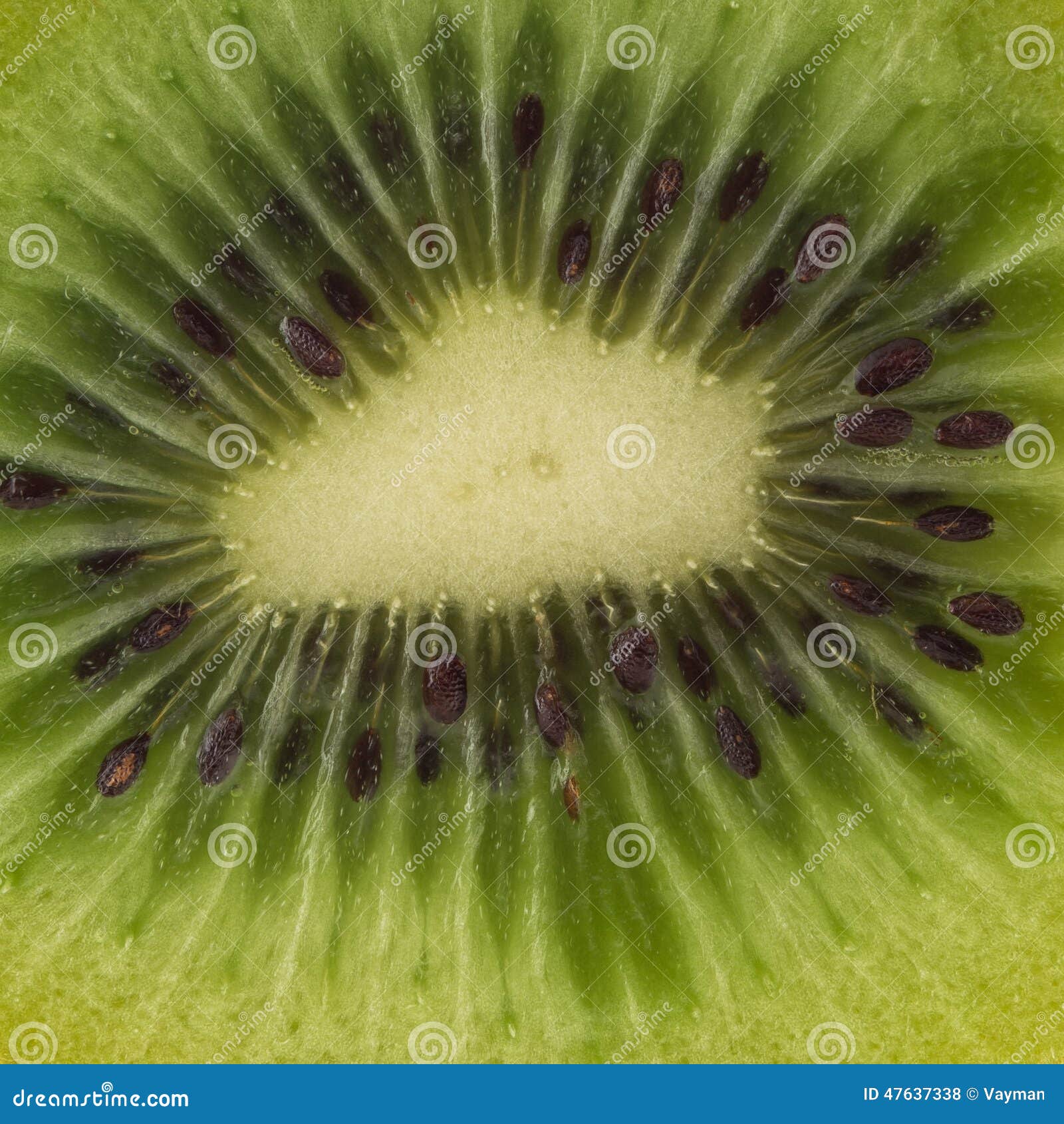 De halve close-up van het kiwifruit. De halve die close-up van het kiwifruit op witte achtergrond wordt geïsoleerd