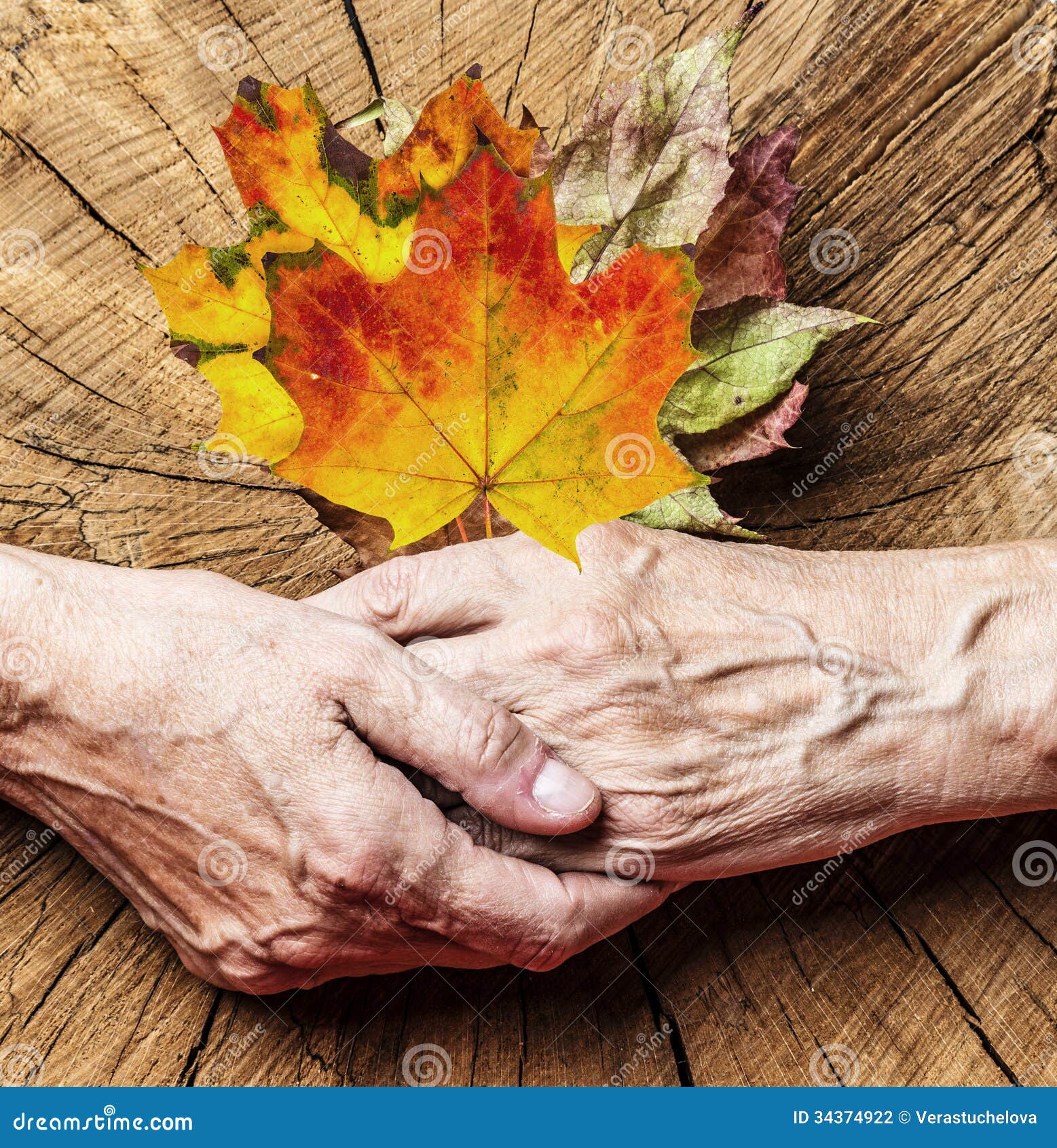 Herfst Van Je Leven De herfst van het leven stock foto. Image of hopeloos - 34374922