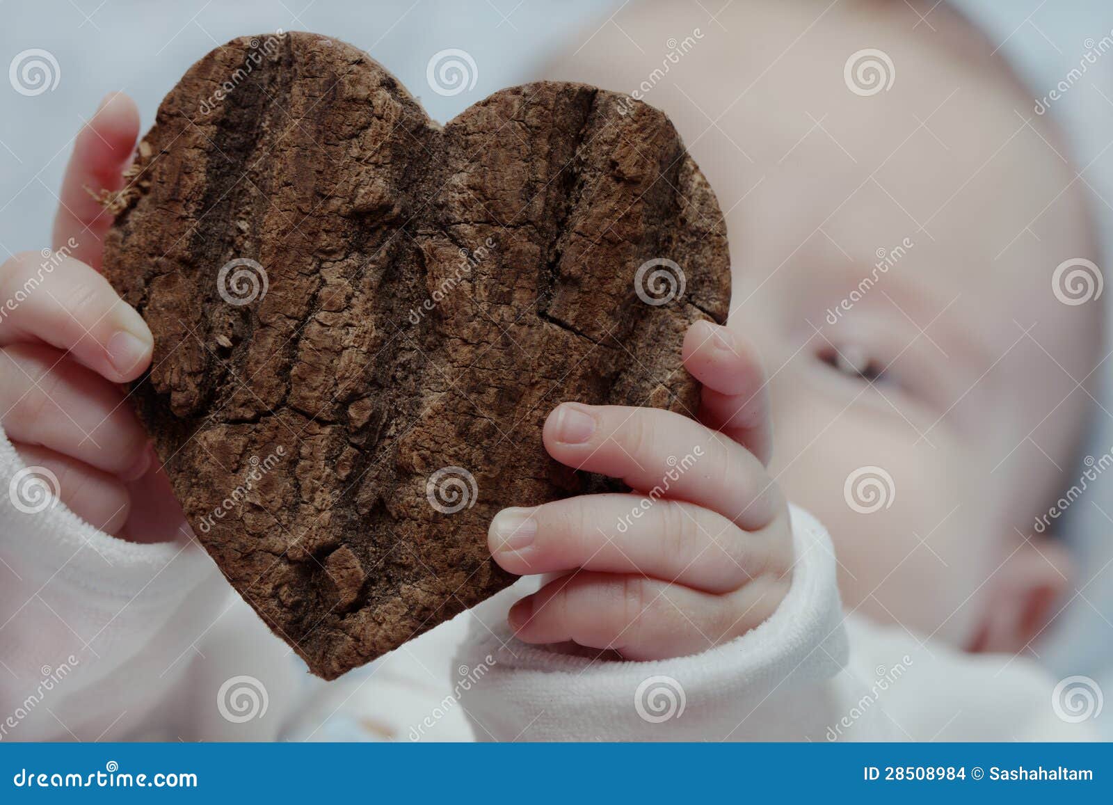 baby hoge finance baby hoge finance