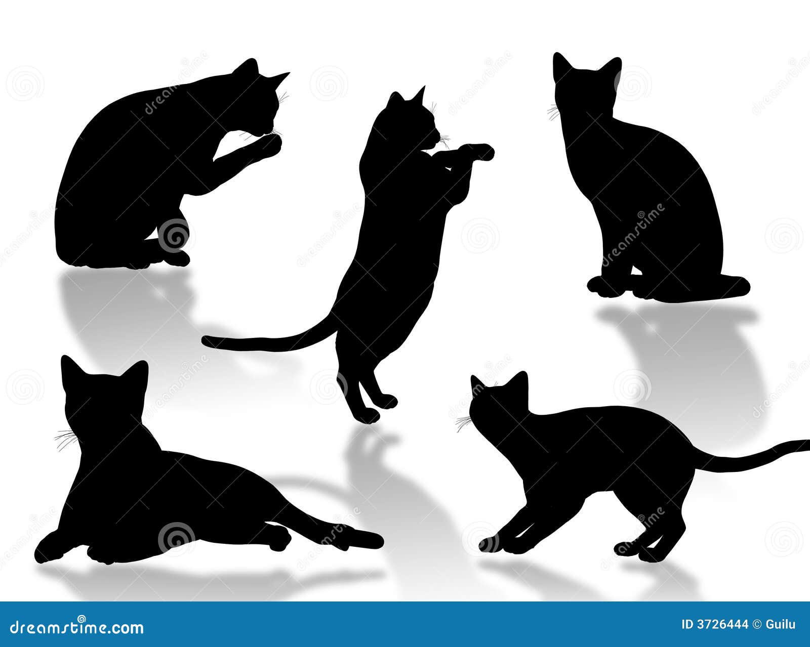 De houdingen van de kat. Het zwarte kattensilhouet in verschillend stelt en houdingen