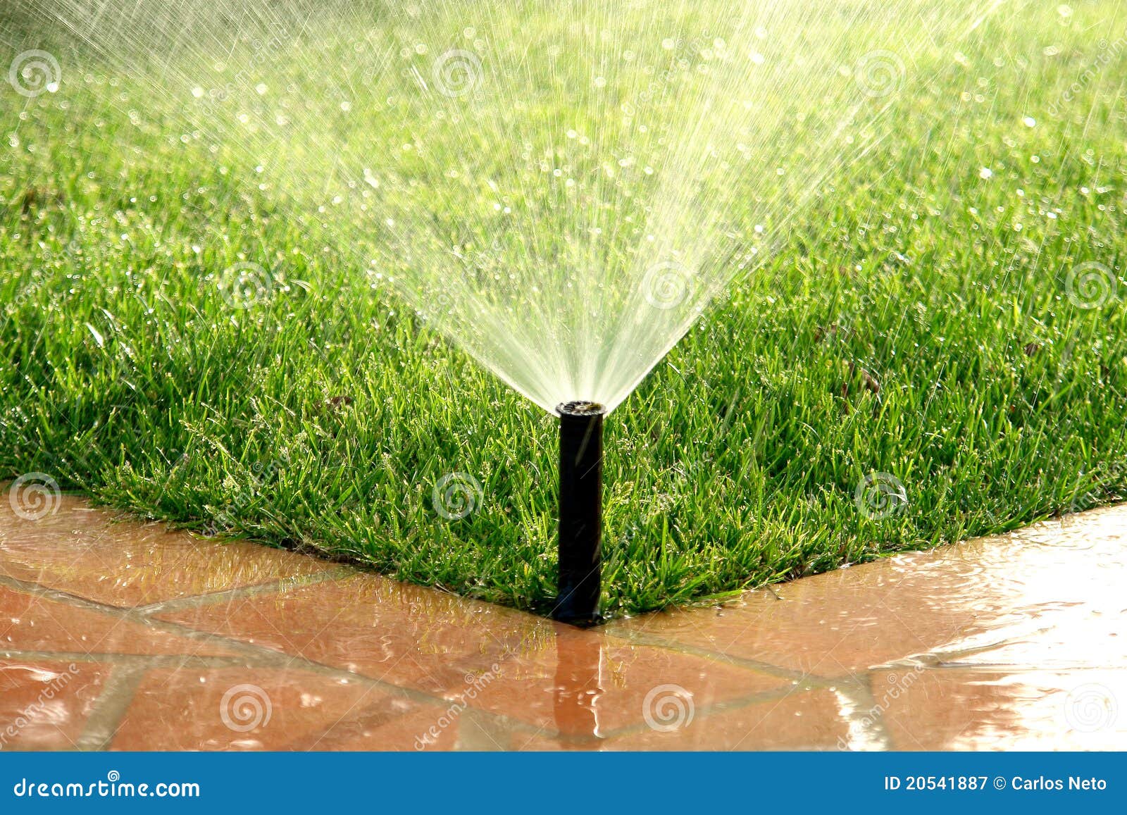 specificeren wat betreft Pellen De Irrigatiesysteem Van De Tuin Automatisch Het Water Geven Gazon Stock  Afbeelding - Image of plastiek, irrigatie: 20541887