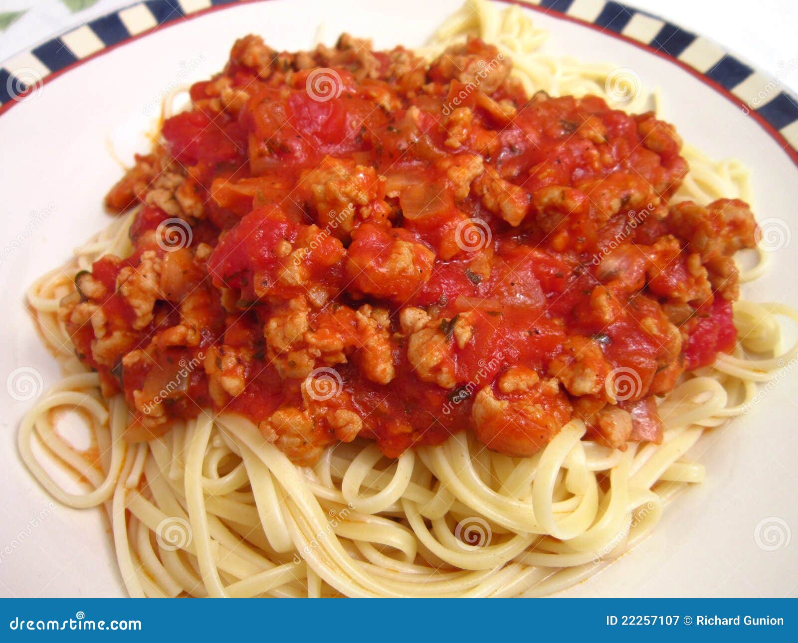 De Kip Bolognese Van De Spaghetti Stock Afbeelding Image of diner, grond 22257107