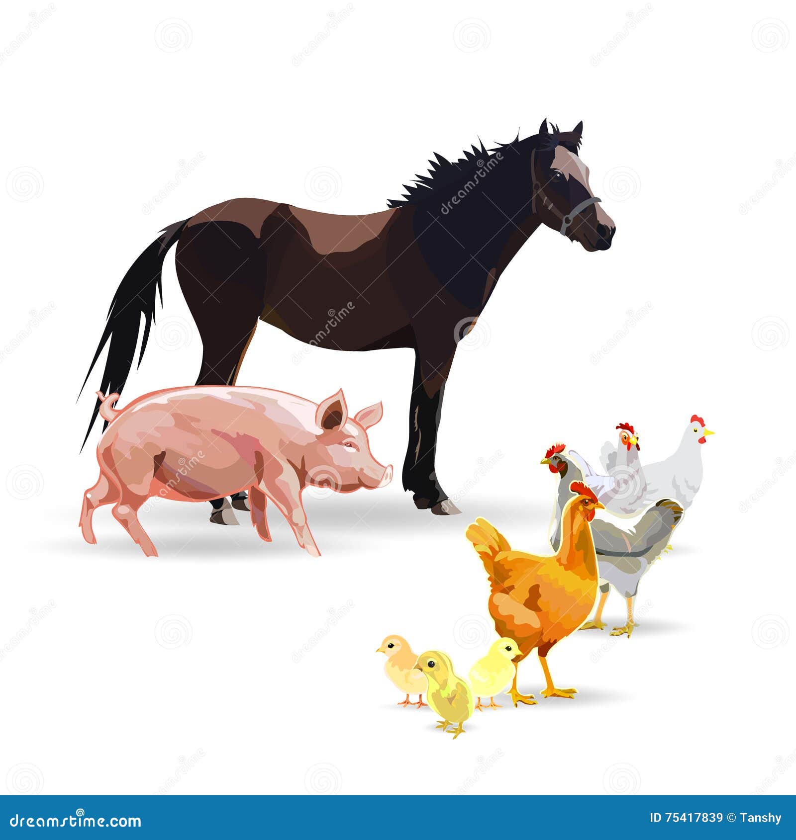 Лошадь цыпленок