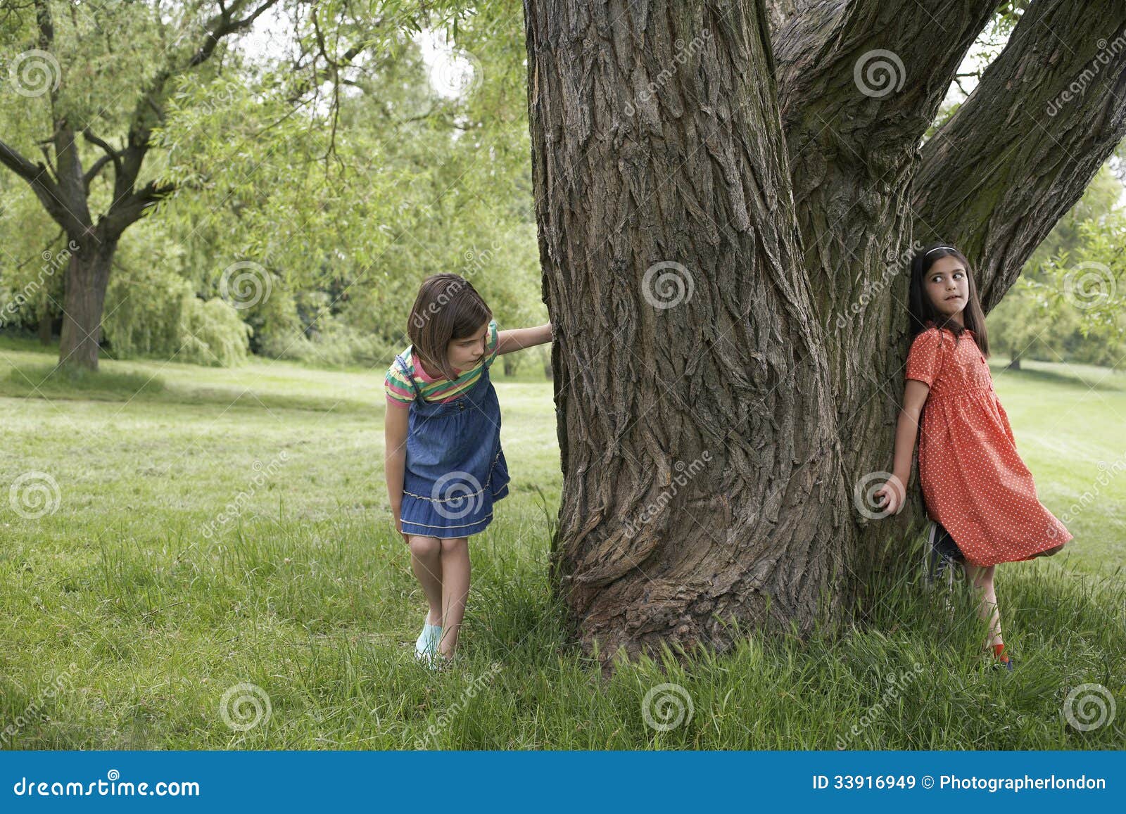 De meisjes die Huid spelen - en - zoeken door Boom. De volledige lengte van twee meisjes die huid spelen - en - zoekt door boom