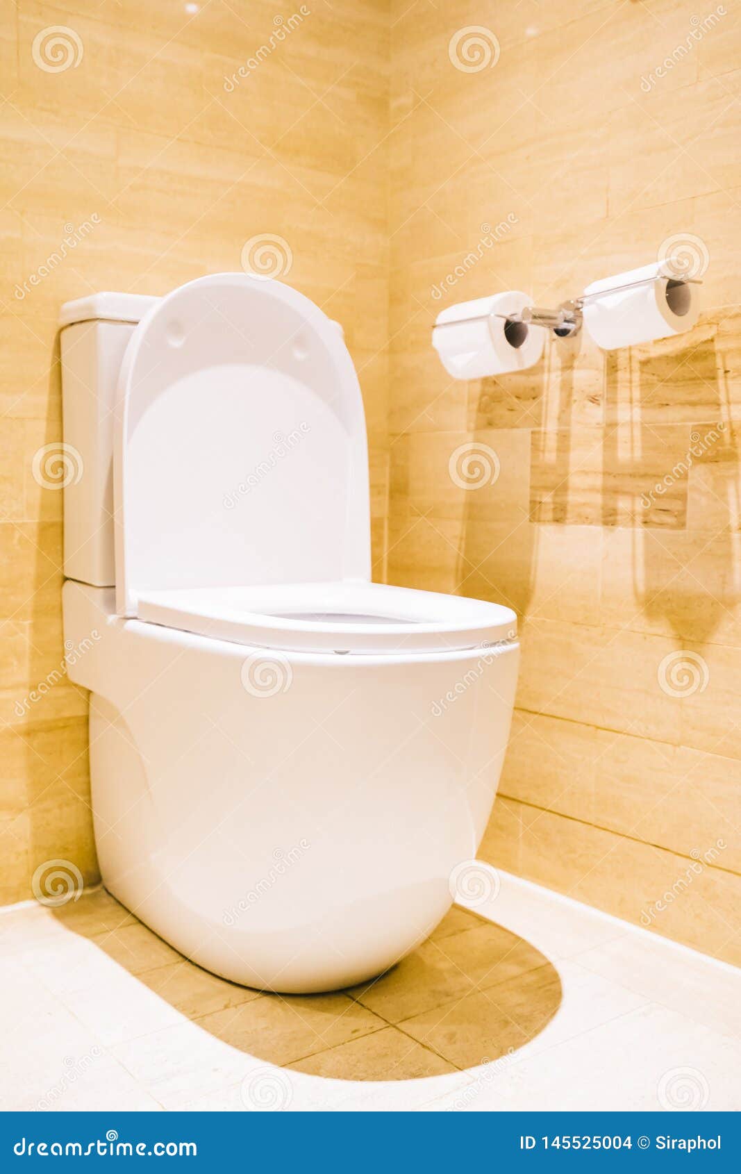 Schotel bereik Niet essentieel De Mooie Zetel En De Kom Van Het Luxe Witte Toilet Stock Foto - Image of  open, hygiëne: 145525004