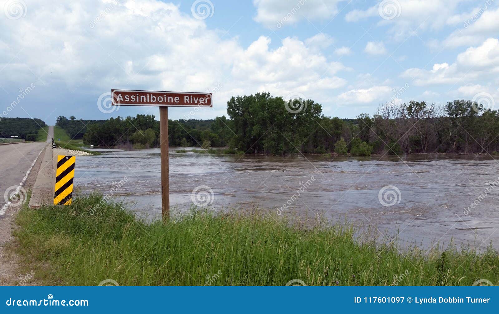 De Overstroomde AssiniboineRivier, Dichtbij Treherne, Manitoba Stock