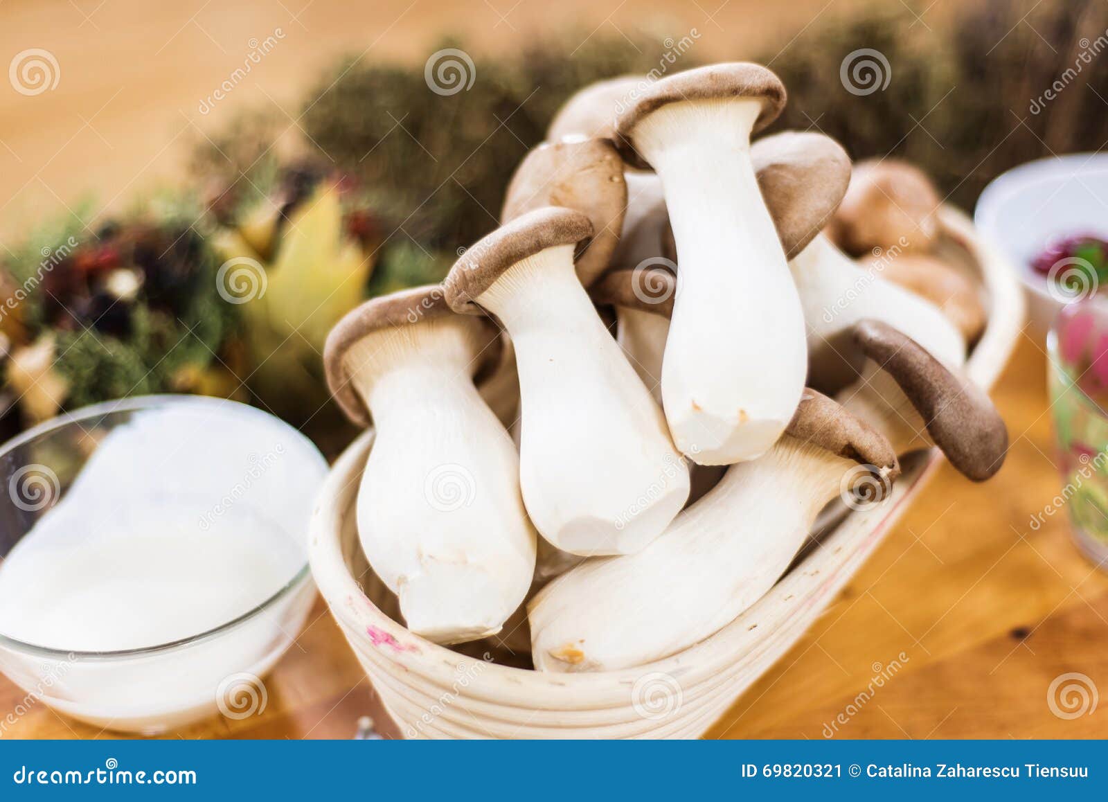 De Paddestoelen Van De Koningsoester in Een Mand Stock Afbeelding