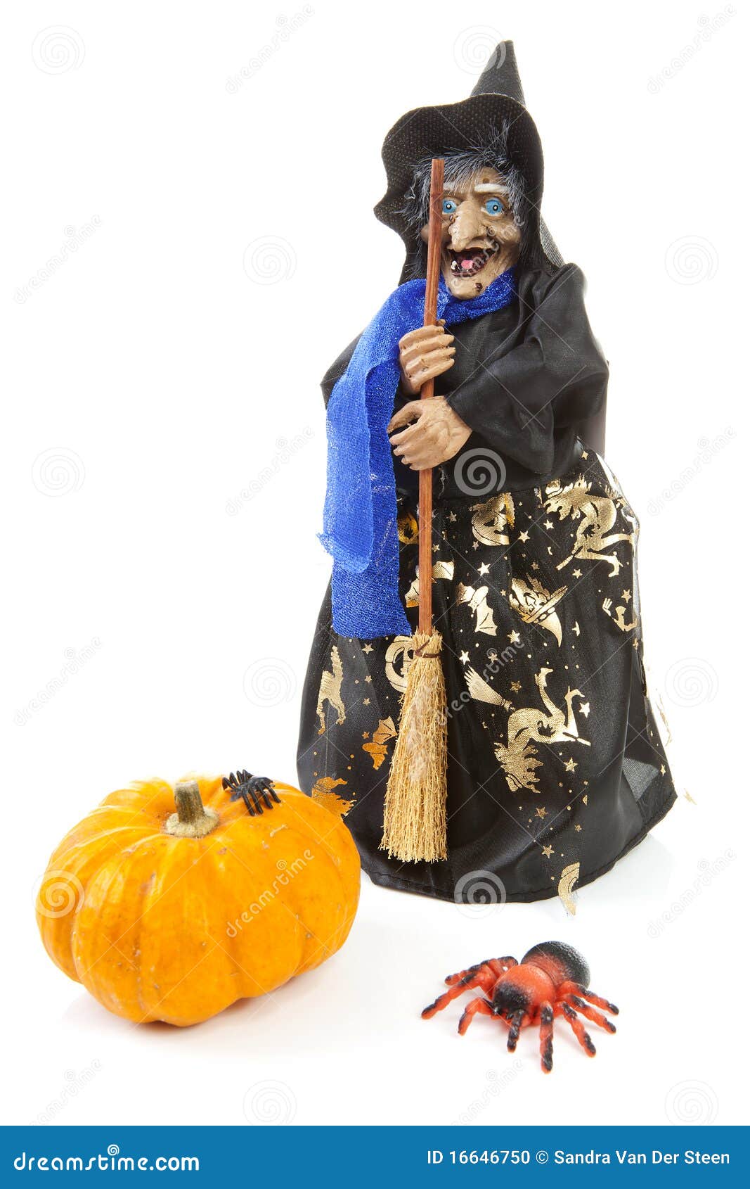 Alternatief voorstel reflecteren bevolking De Pop Van De Heks Voor Halloween Met Pompoen En Spin Stock Foto - Image of  lelijk, geïsoleerd: 16646750