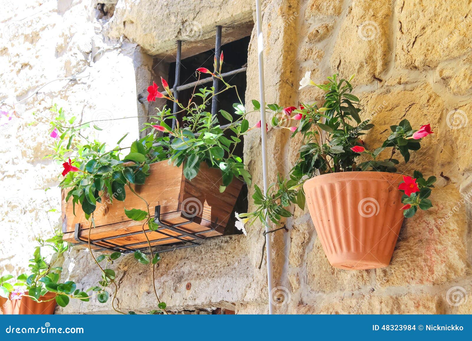 De pot van bloemen versiert de muren van het huis stock foto ... Ingerichte kamers vrij