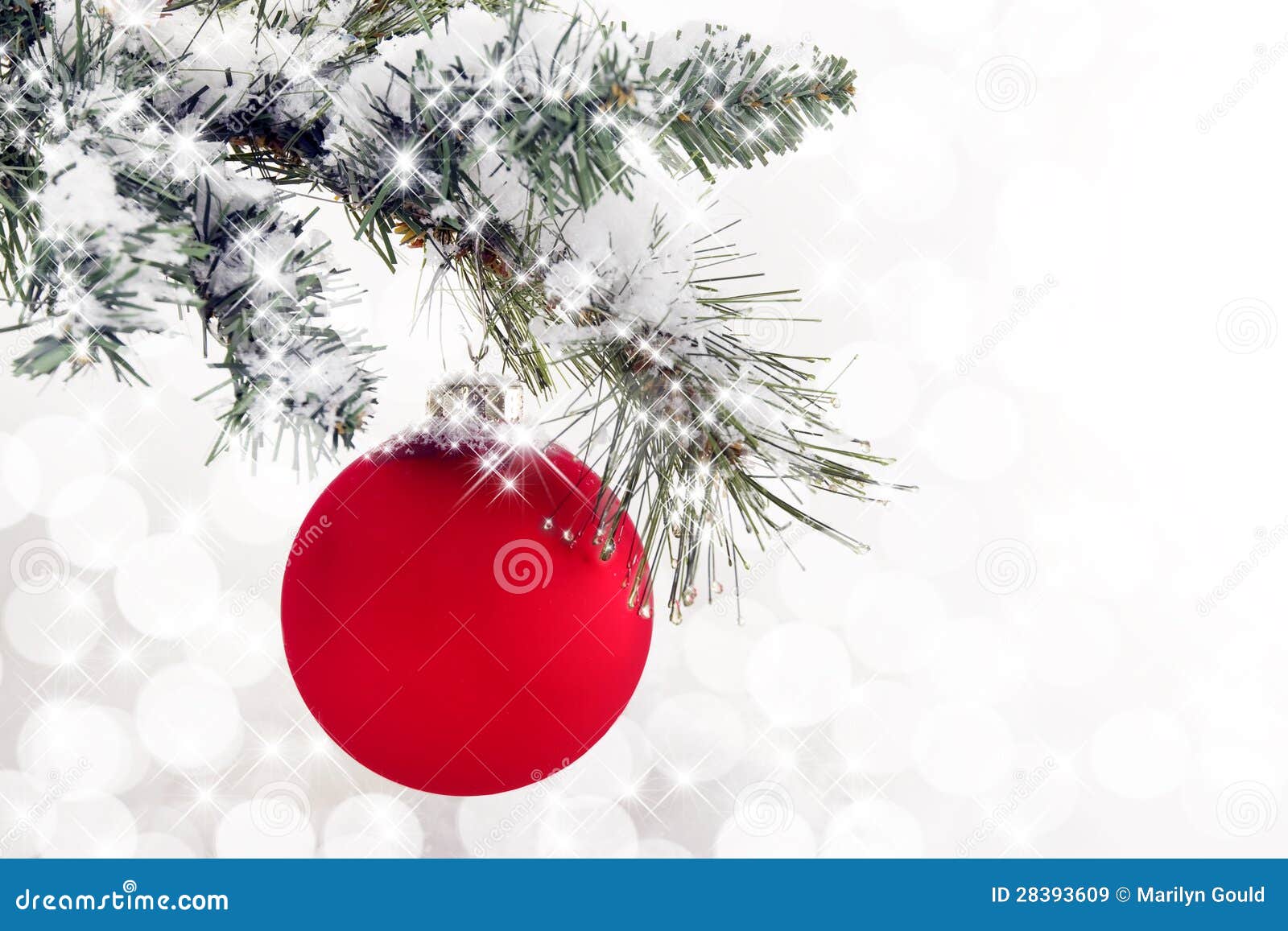 De rode SneeuwTak van het Ornament. Een rood glasornament die op altijdgroene tak, bokeh en sterren op lichte achtergrond hangen