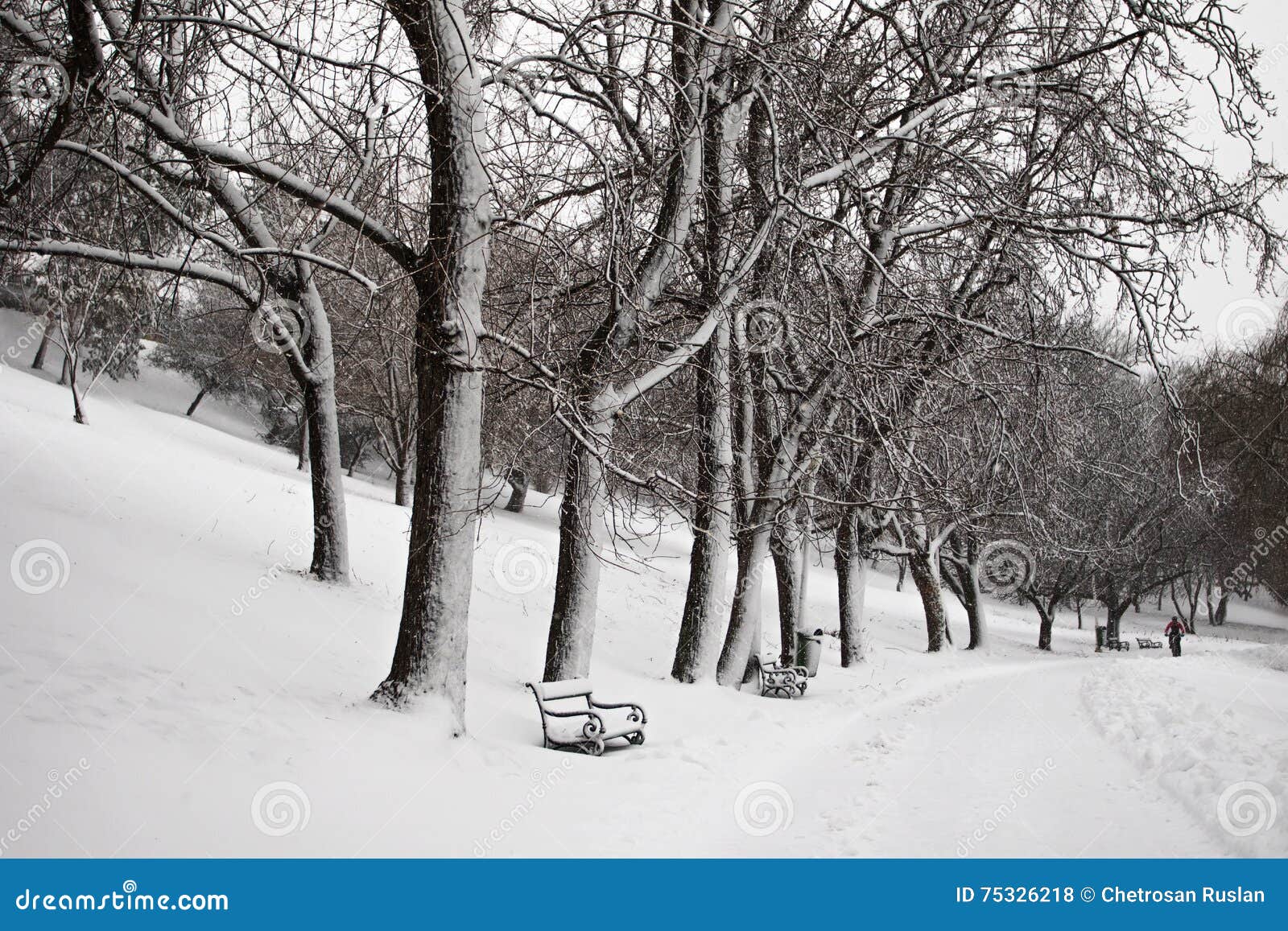 De ruiter van de de winterfiets in parc Tineretului, Roemenië