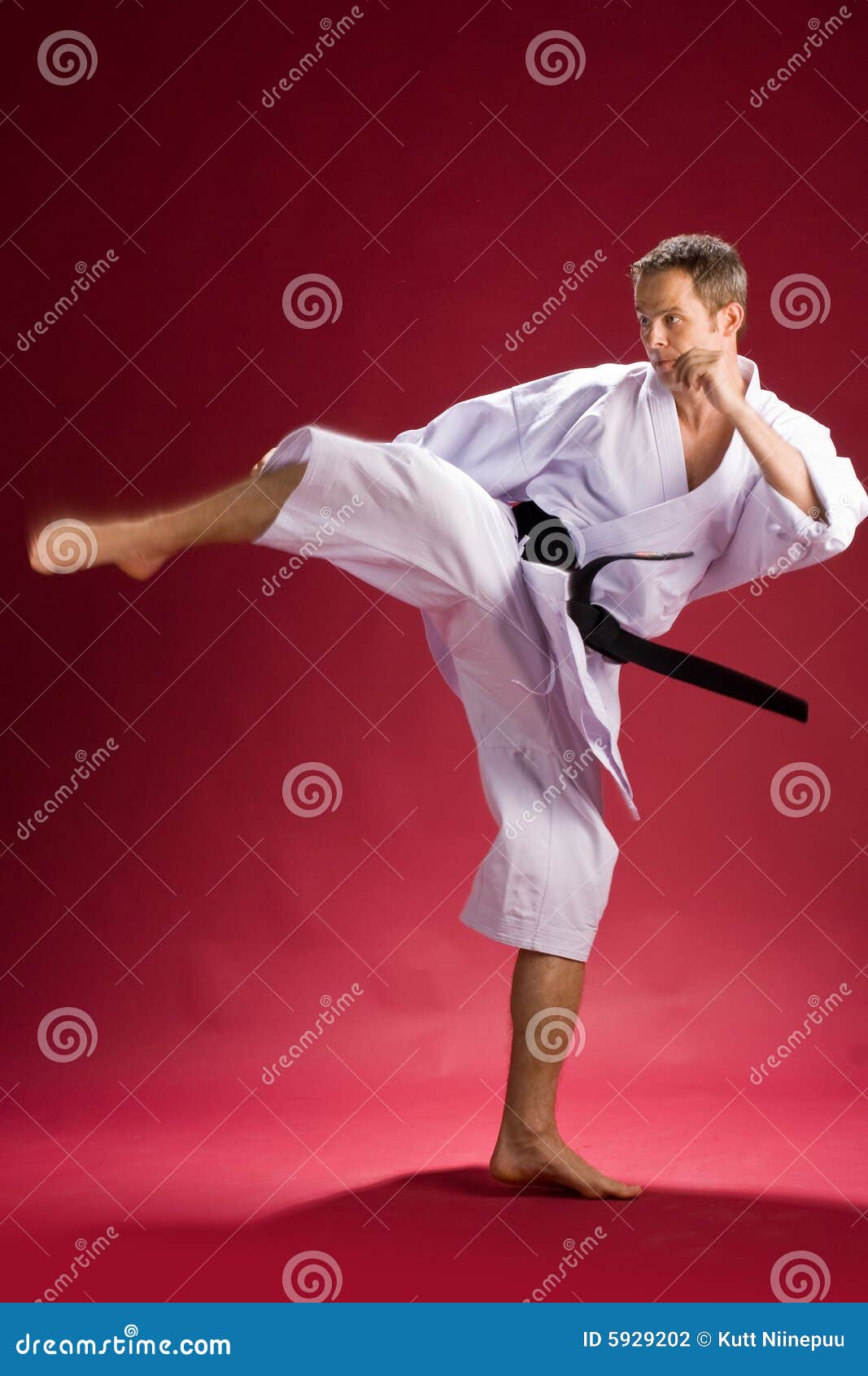 De Schop Van De Karate Door Zwarte Band Stock Foto Image of zwart, mens 5929202