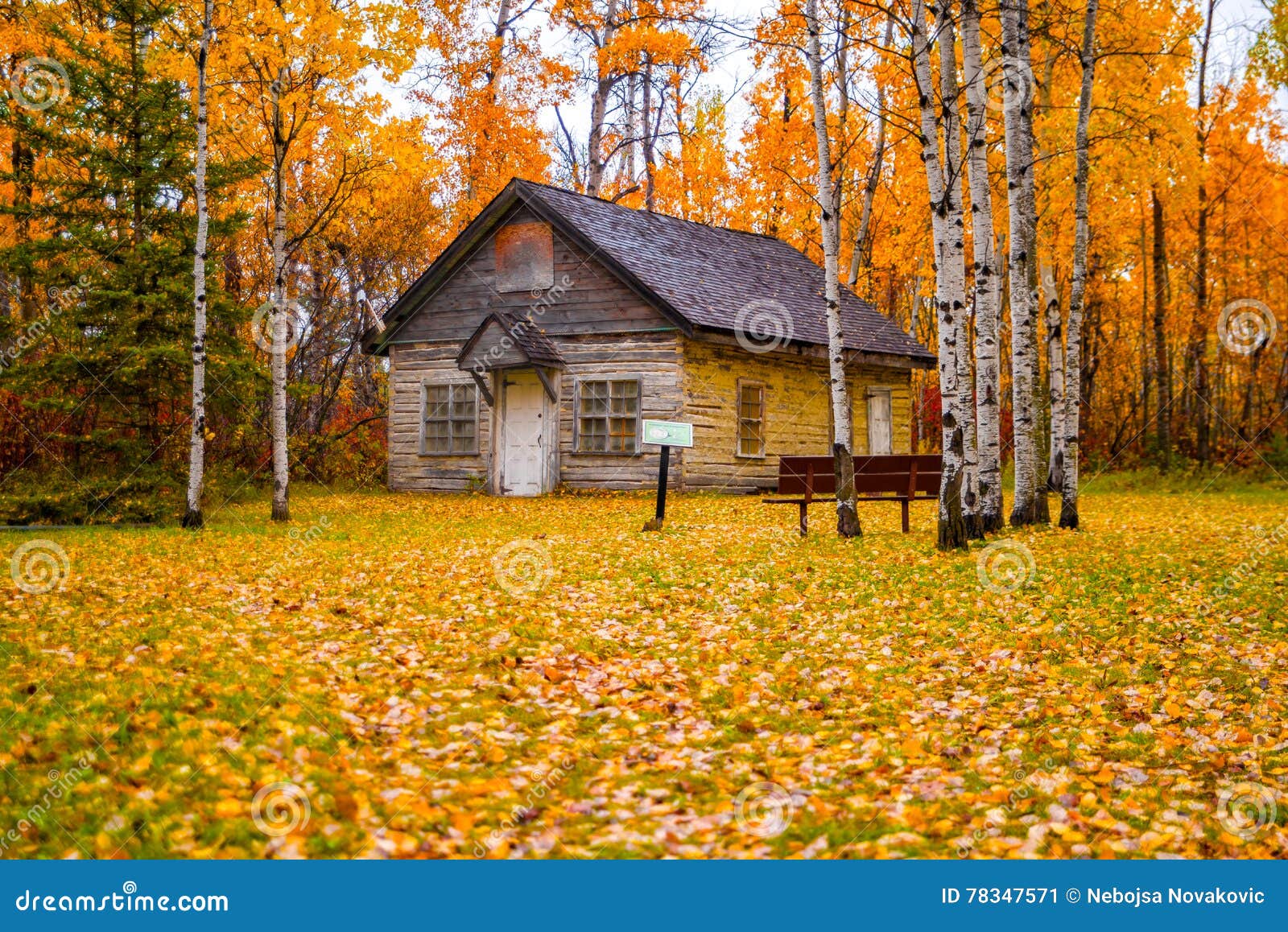 De scène van de herfst de kleurrijke achtergrond. Bird& x27; s Heuvelpark, Manitoba, Canada