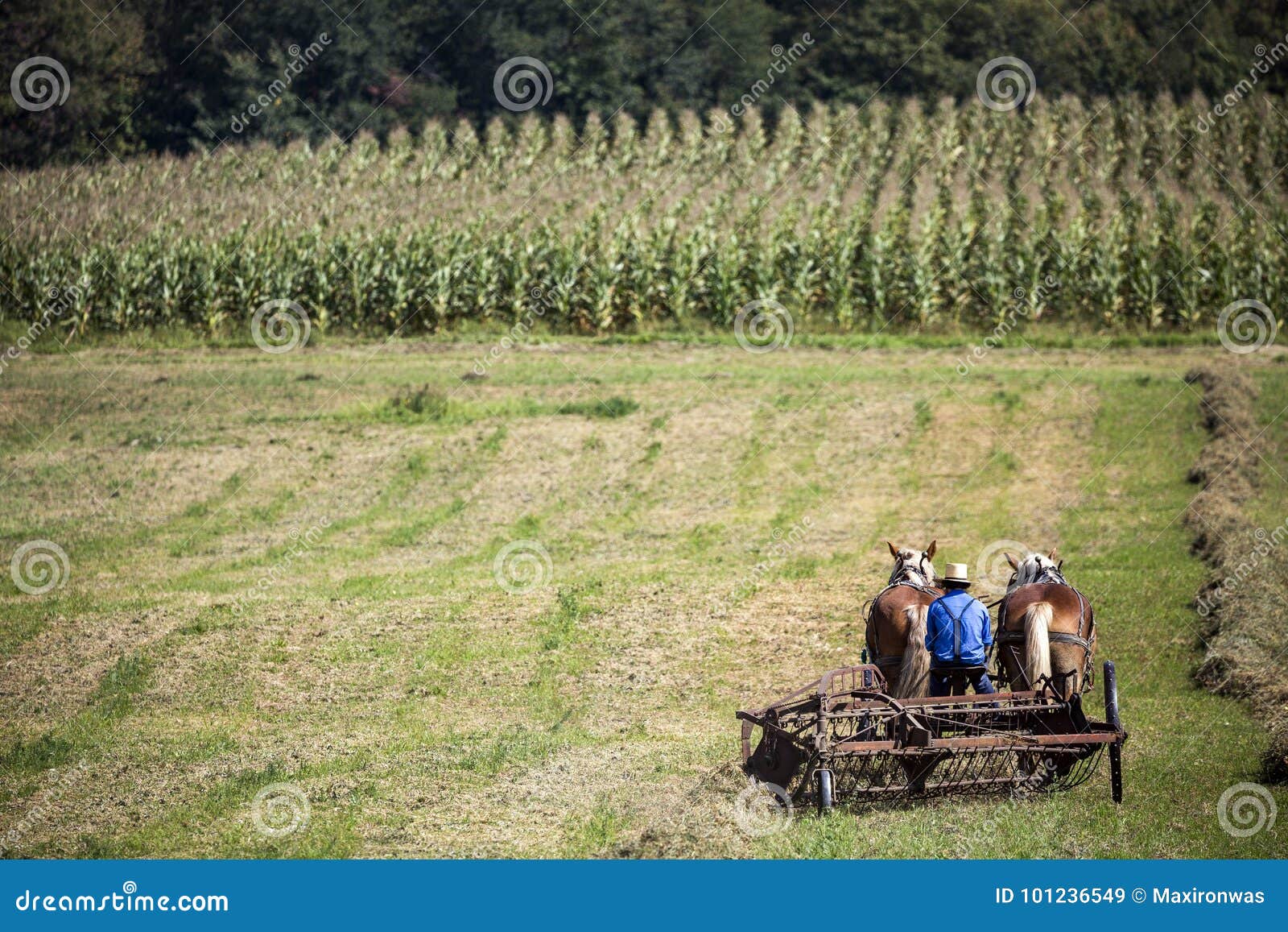 De V.S. - Ohio - Amish. De V.S. - Ohio - het Amish-land van Holmes County