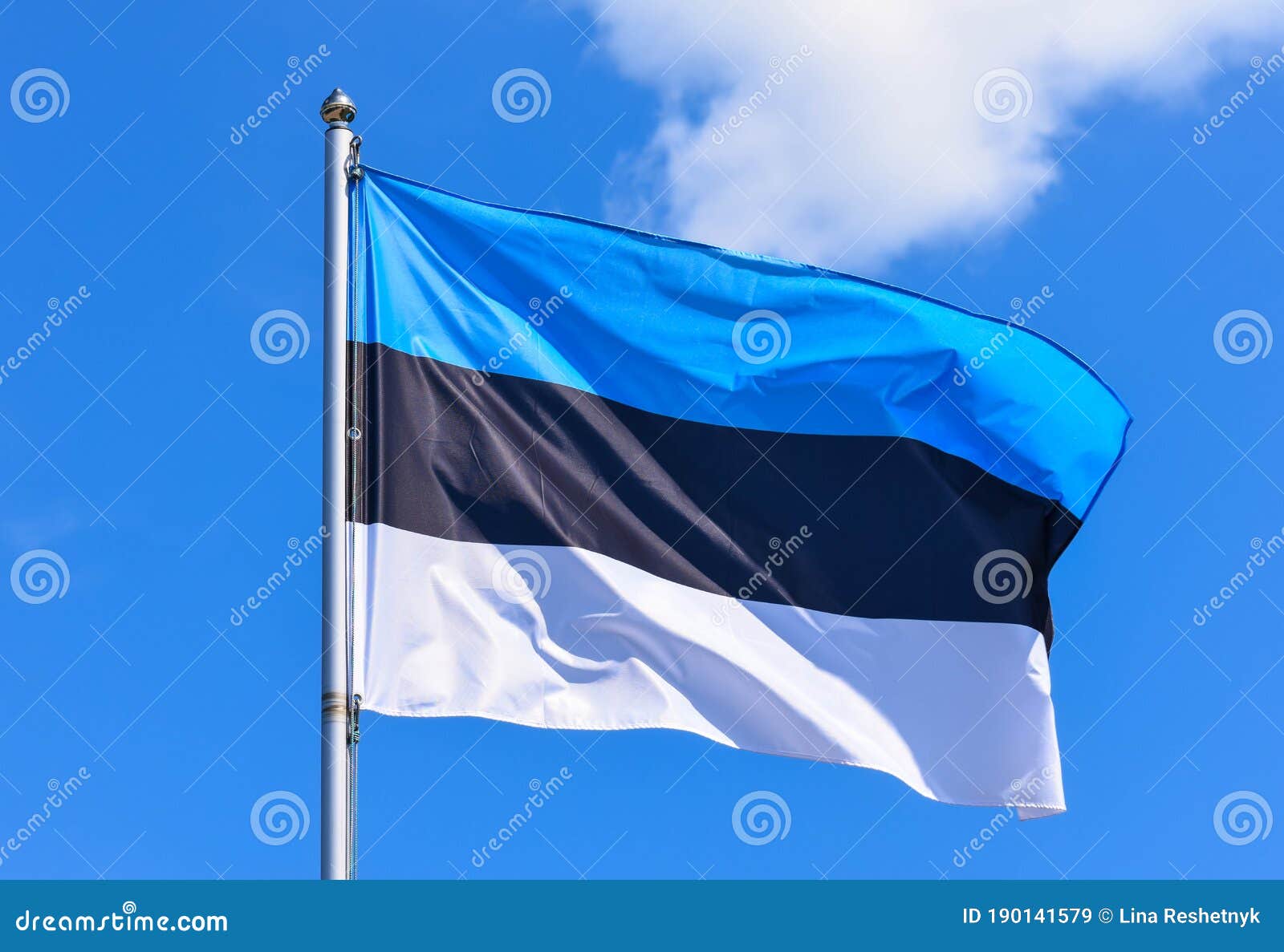 medley Soldaat Polijsten De Vlag Van Estland is Een Rechthoekig Spandoek Met Drie Gelijke  Horizontale Strepen Blauw Zwart - Wit Tegen De Achtergrond Van De Stock  Afbeelding - Image of onafhankelijkheid, estland: 190141579