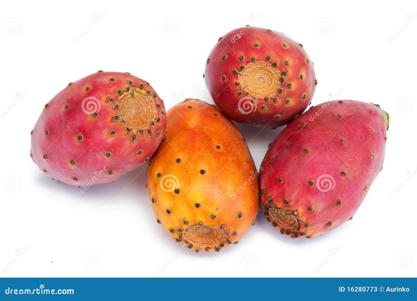 De vruchten van de cactus stock afbeelding. Image of nagerecht 16280773