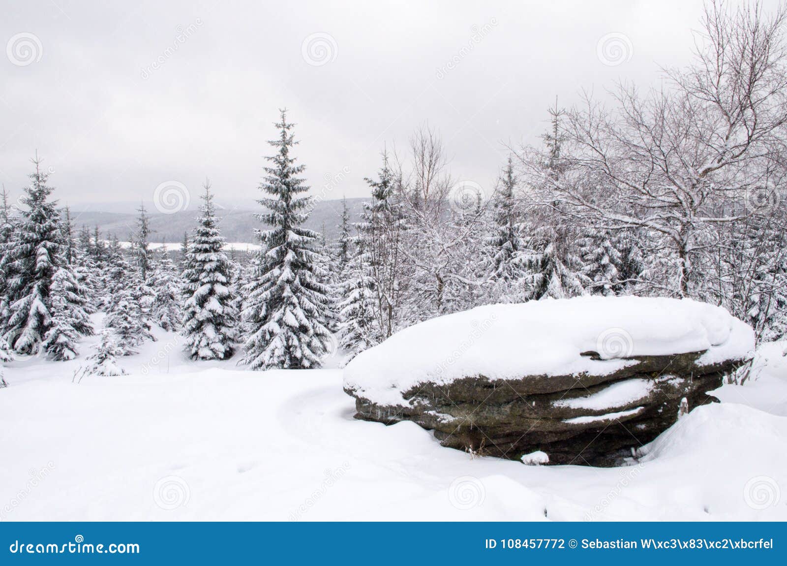 De winterlandschap in Jizera-Bergen