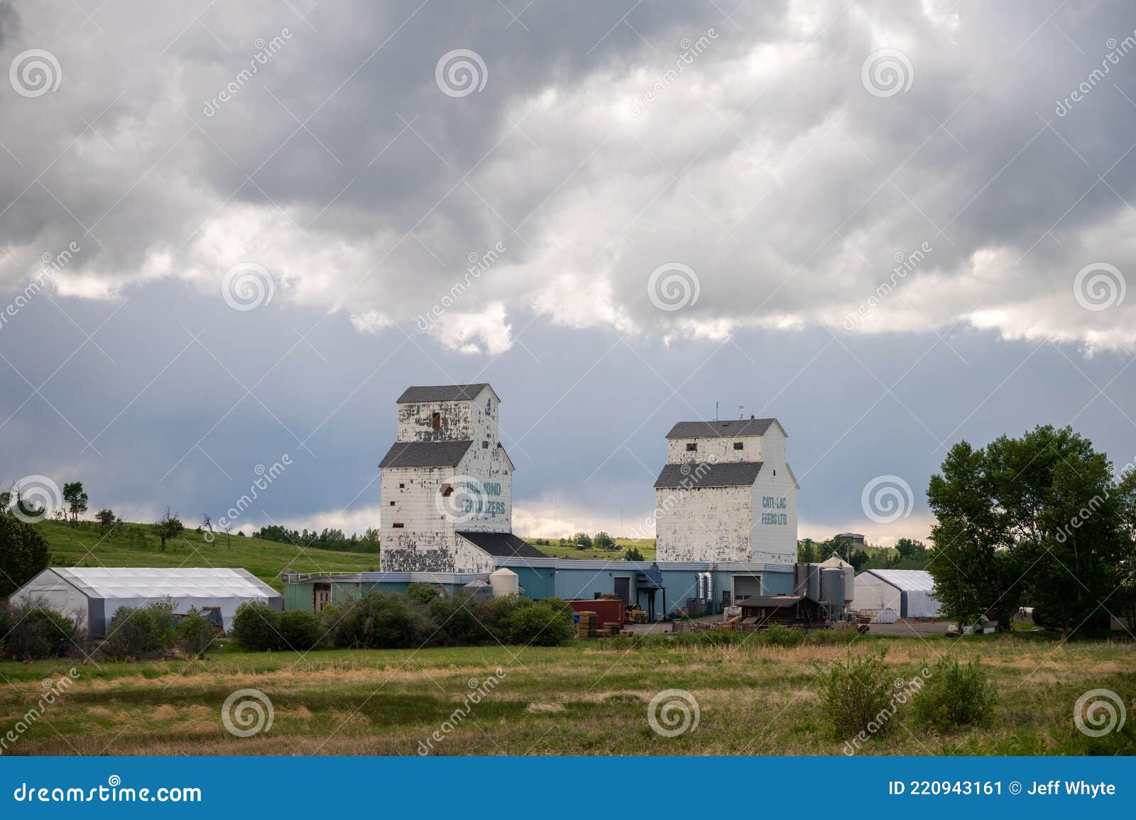 De Winton Grain Elevators editorial photo. Image of valley 220943161