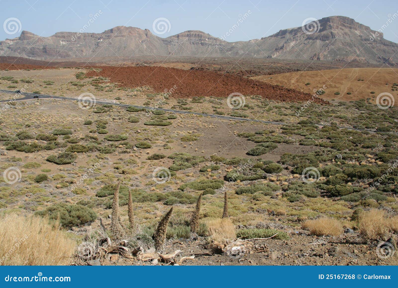 De Woestijn van Teide. Een mening van Teide woestijn, Canarias, Spanje