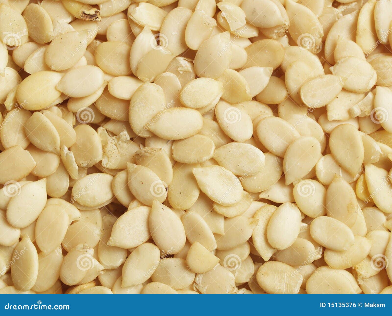 De zaden van de meloen stock foto. Image of naughty, meloen 15135376