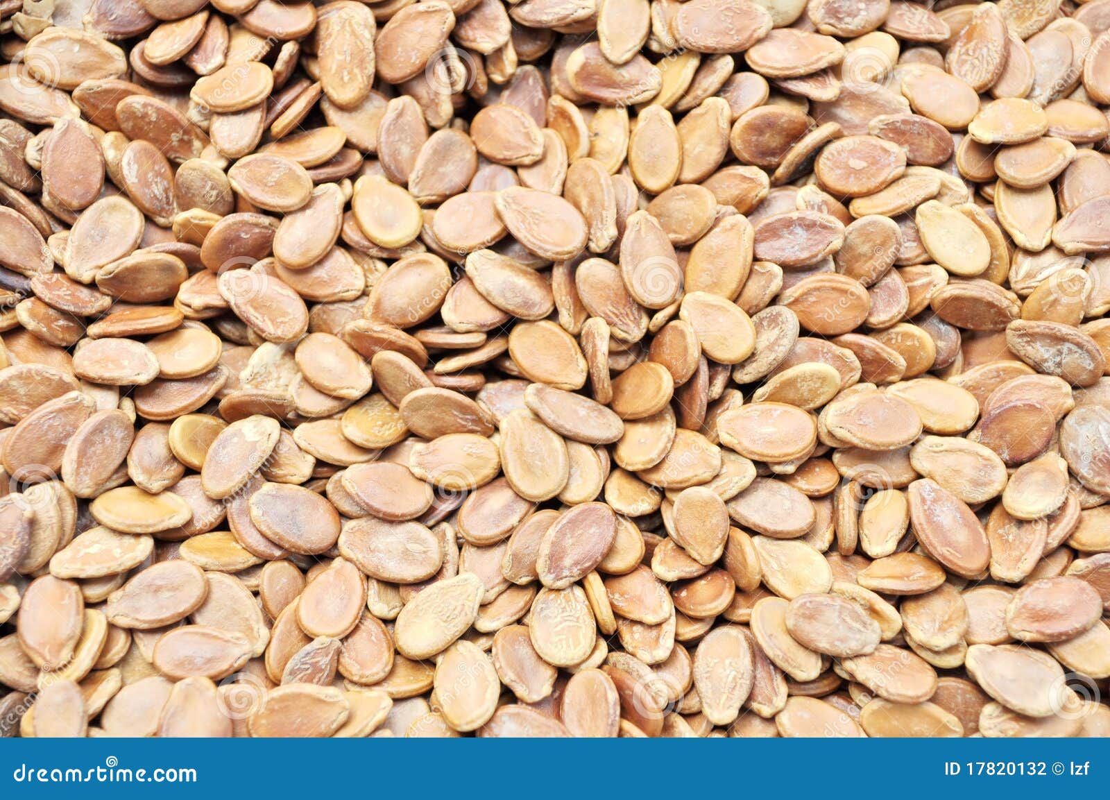 De zaden van de meloen stock foto. Image of nave, ondiep 17820132