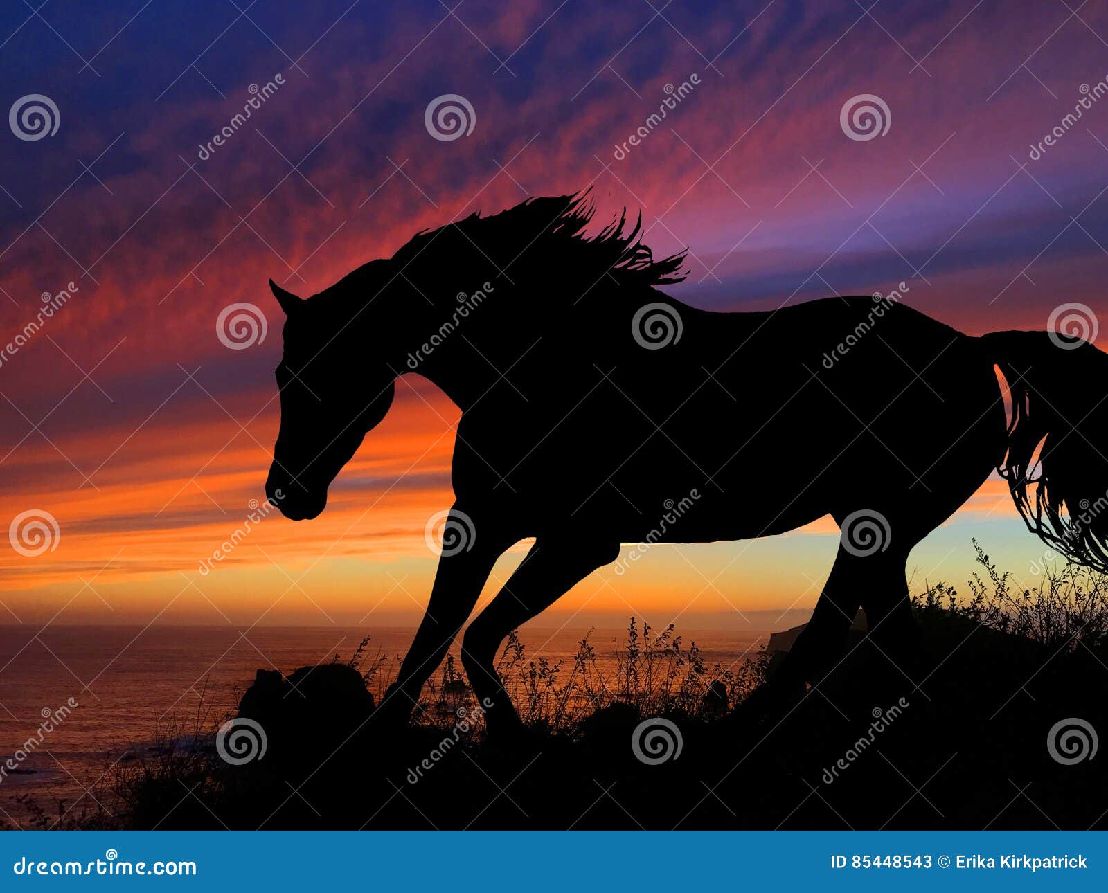 De Zonsondergang Van Het Paardsilhouet Stock Afbeelding ...