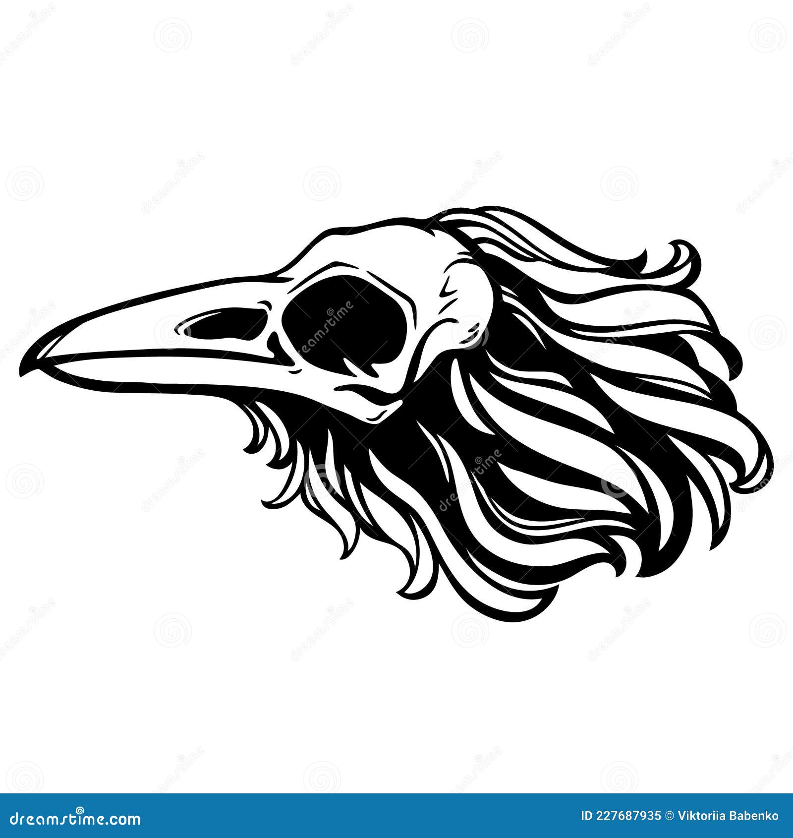 Dead Bird Skull with Feathers Stock Vector - Illustration of background,  graphic: 227687935