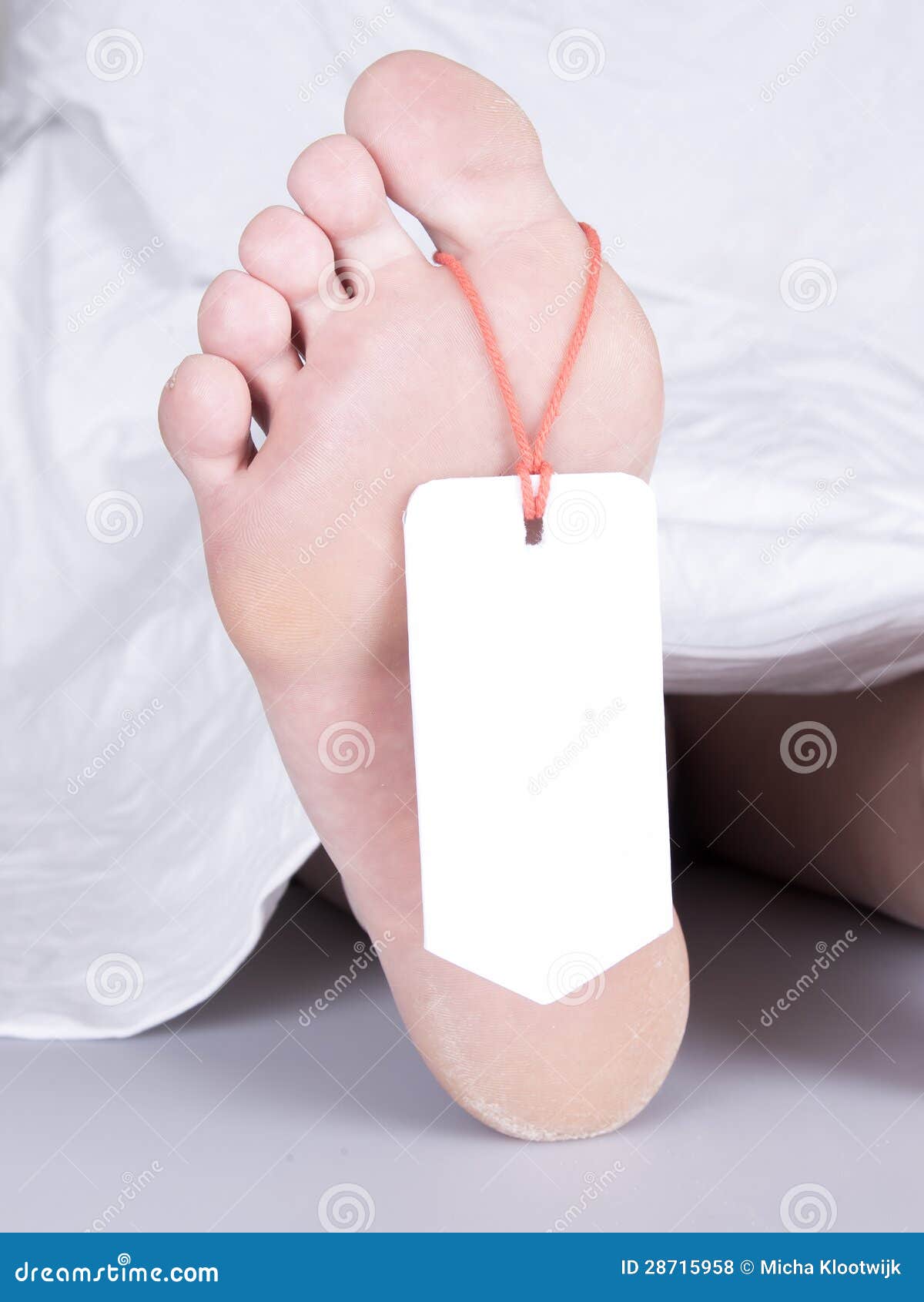 toe the tagger toe the tagger