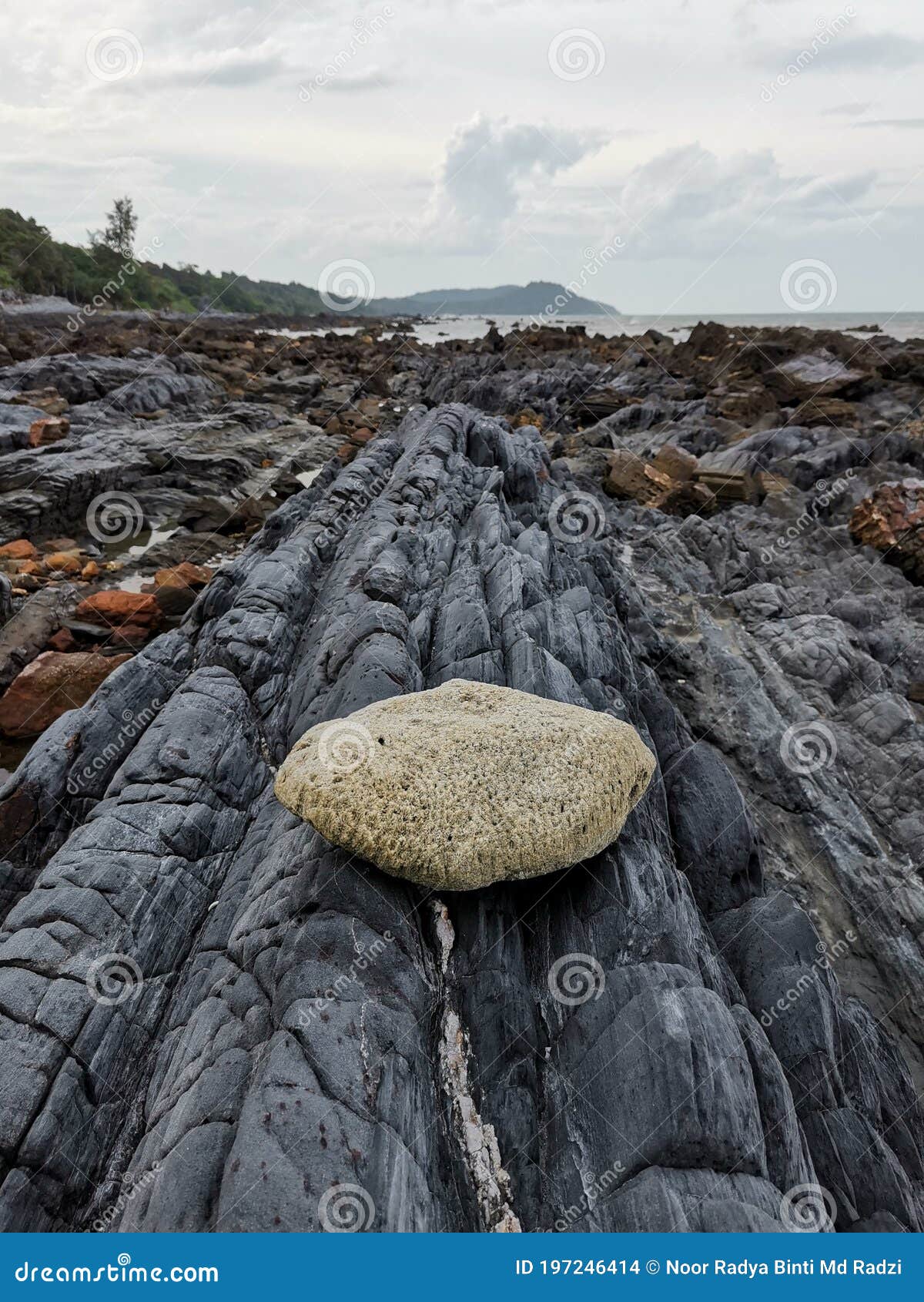 dead coral on amazing rock formation in kuala sedili besar, johor, malaysia.