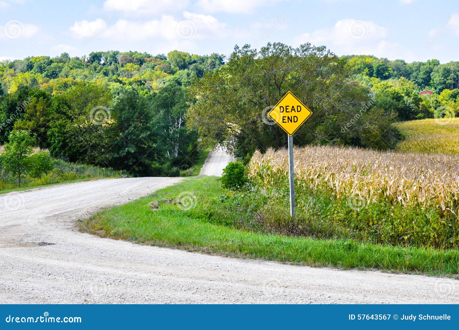 Dead End Road And Sign Stock Image Image Of Scenery Dead End Road And Sign Stock Image Image Of Scenery