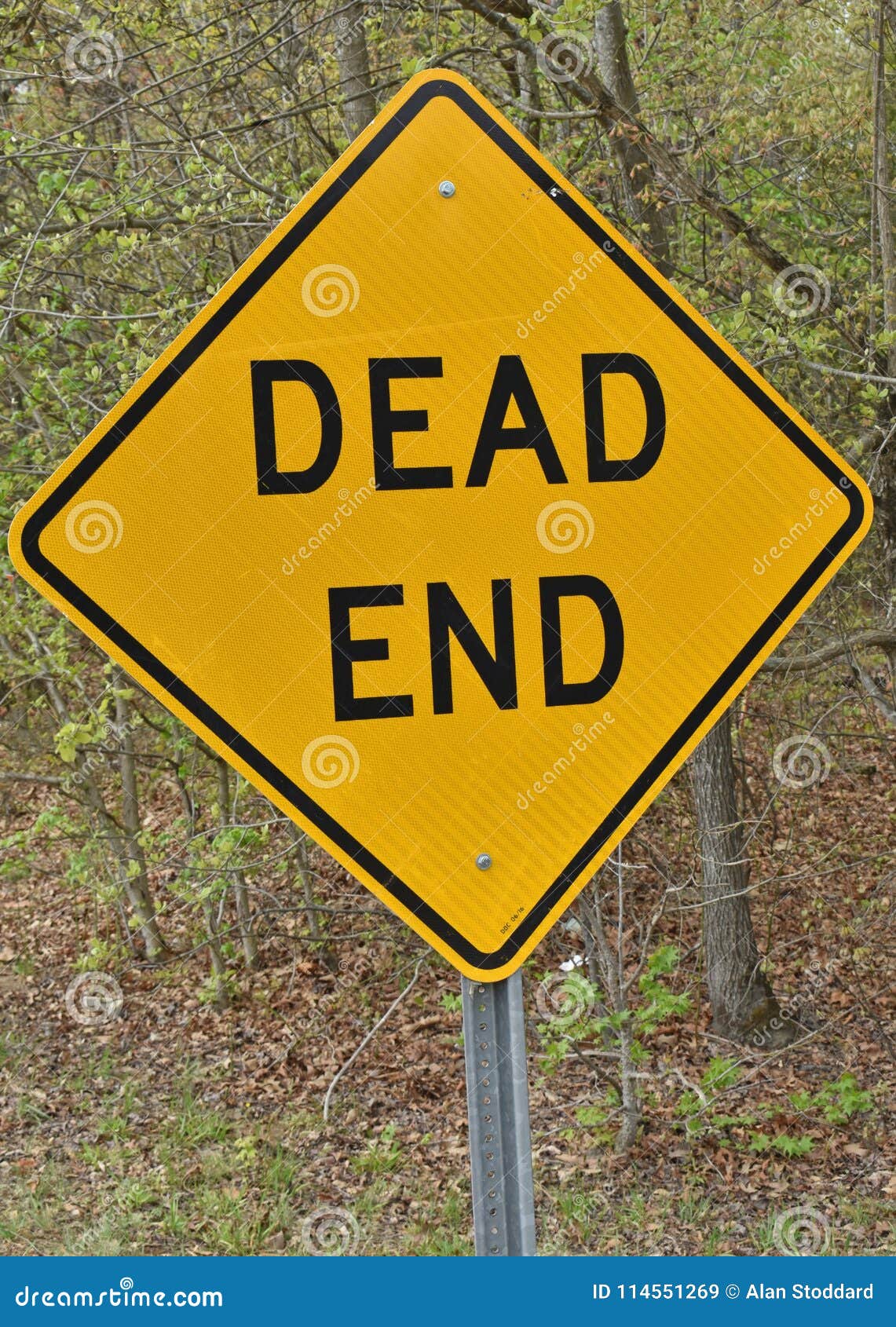 dead end sign on highway frontage road