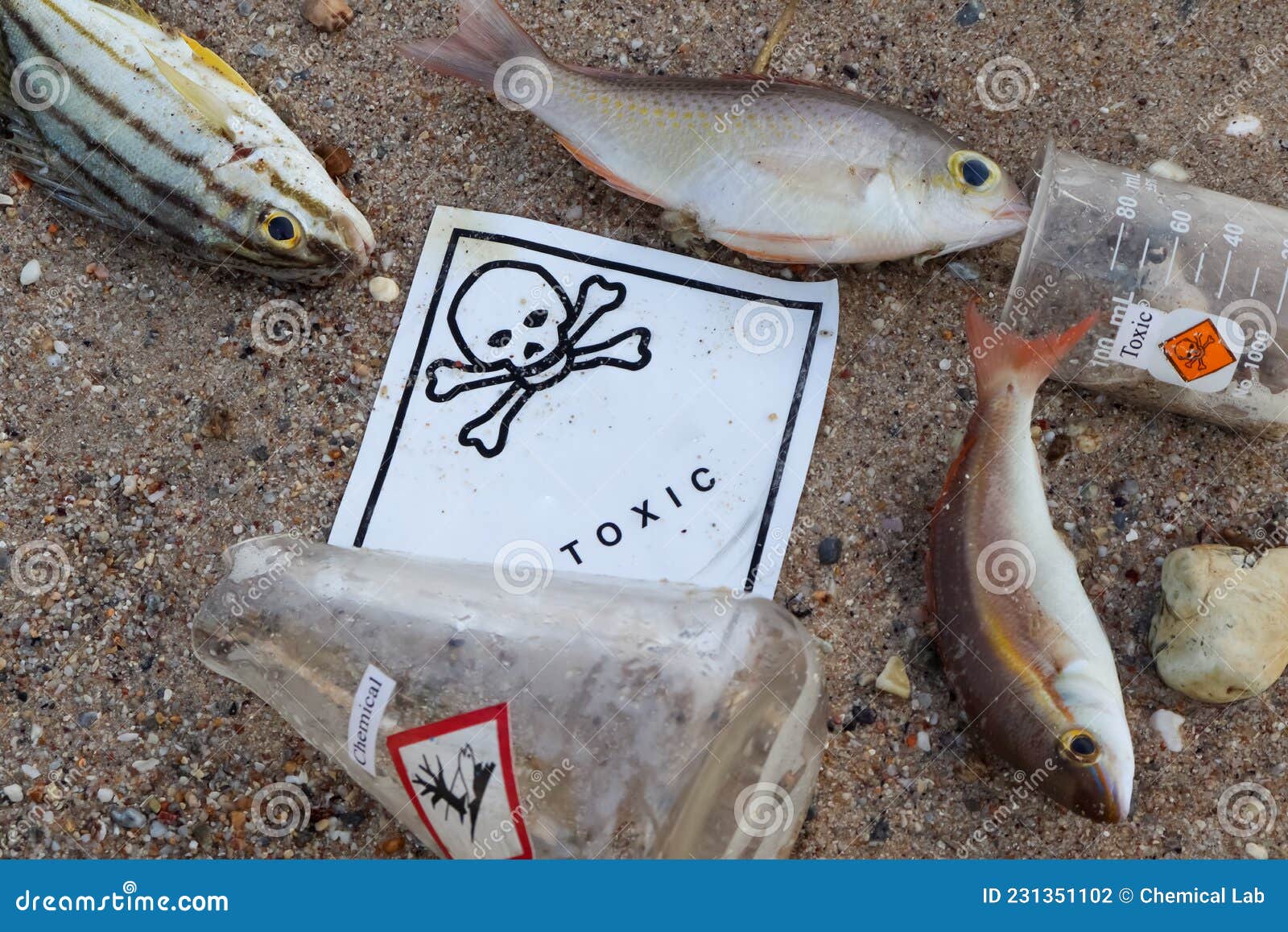Dead Fish by Dangerous Chemicals Stock Photo Image of dirty, garbage