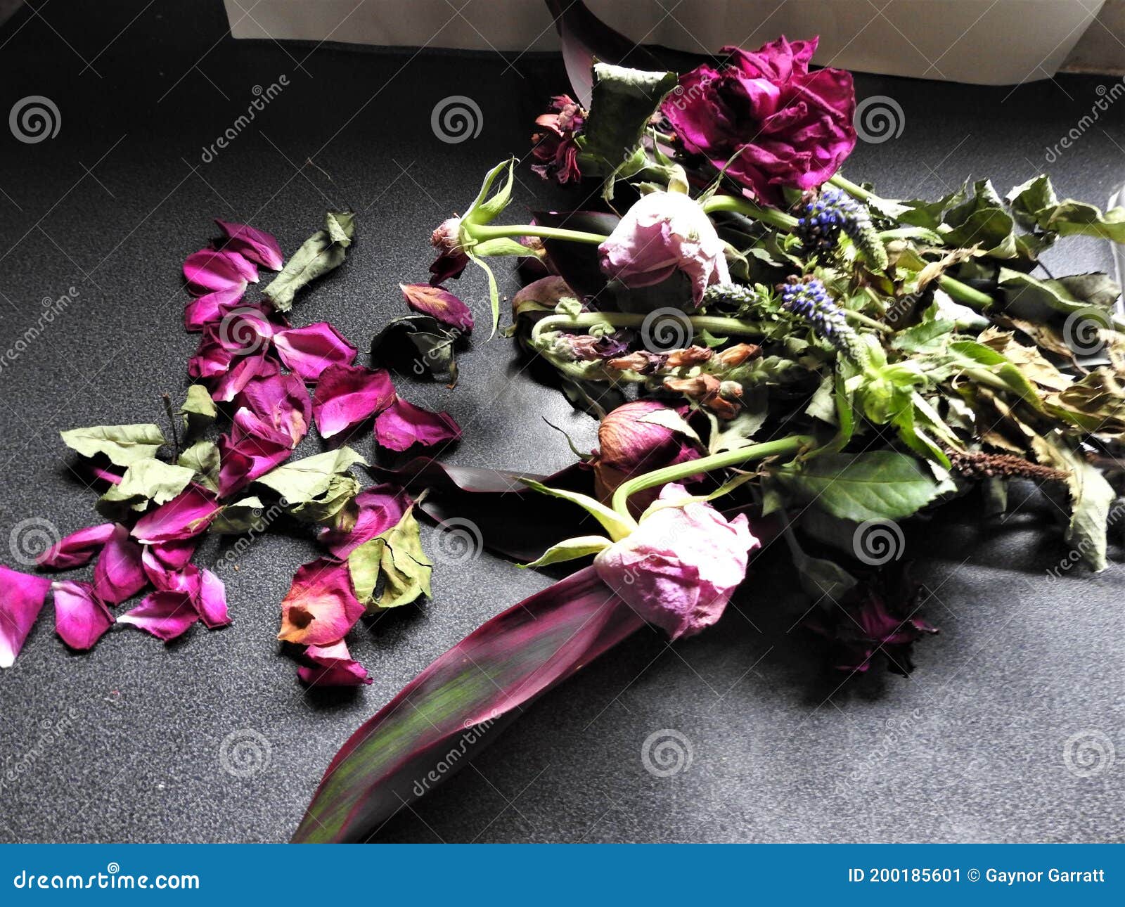 Dead flowers fallen petals stock image. Image of leaves 200185601