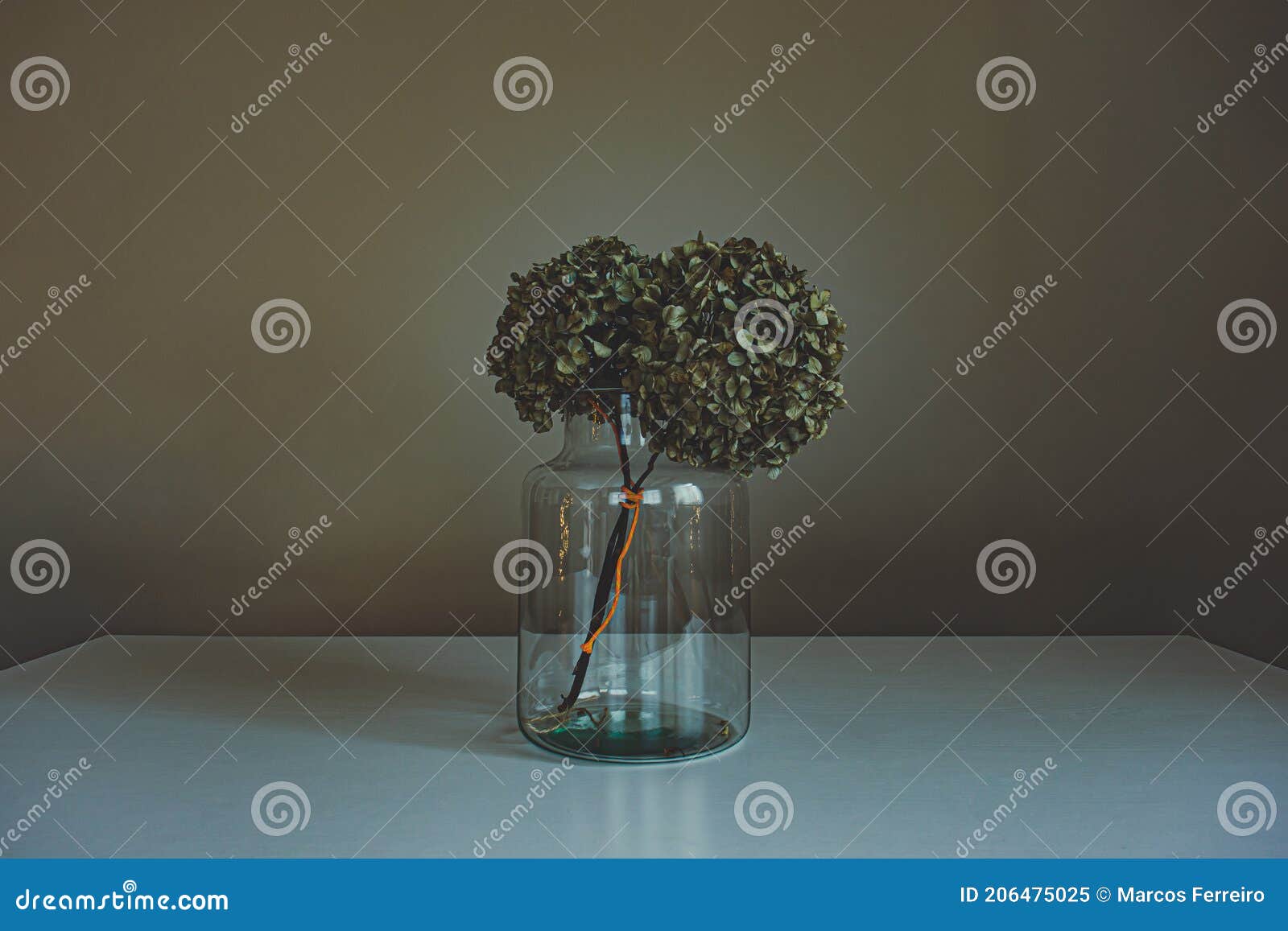 Dead Flowers in Glass Jar and White Table Stock Image Image of plant