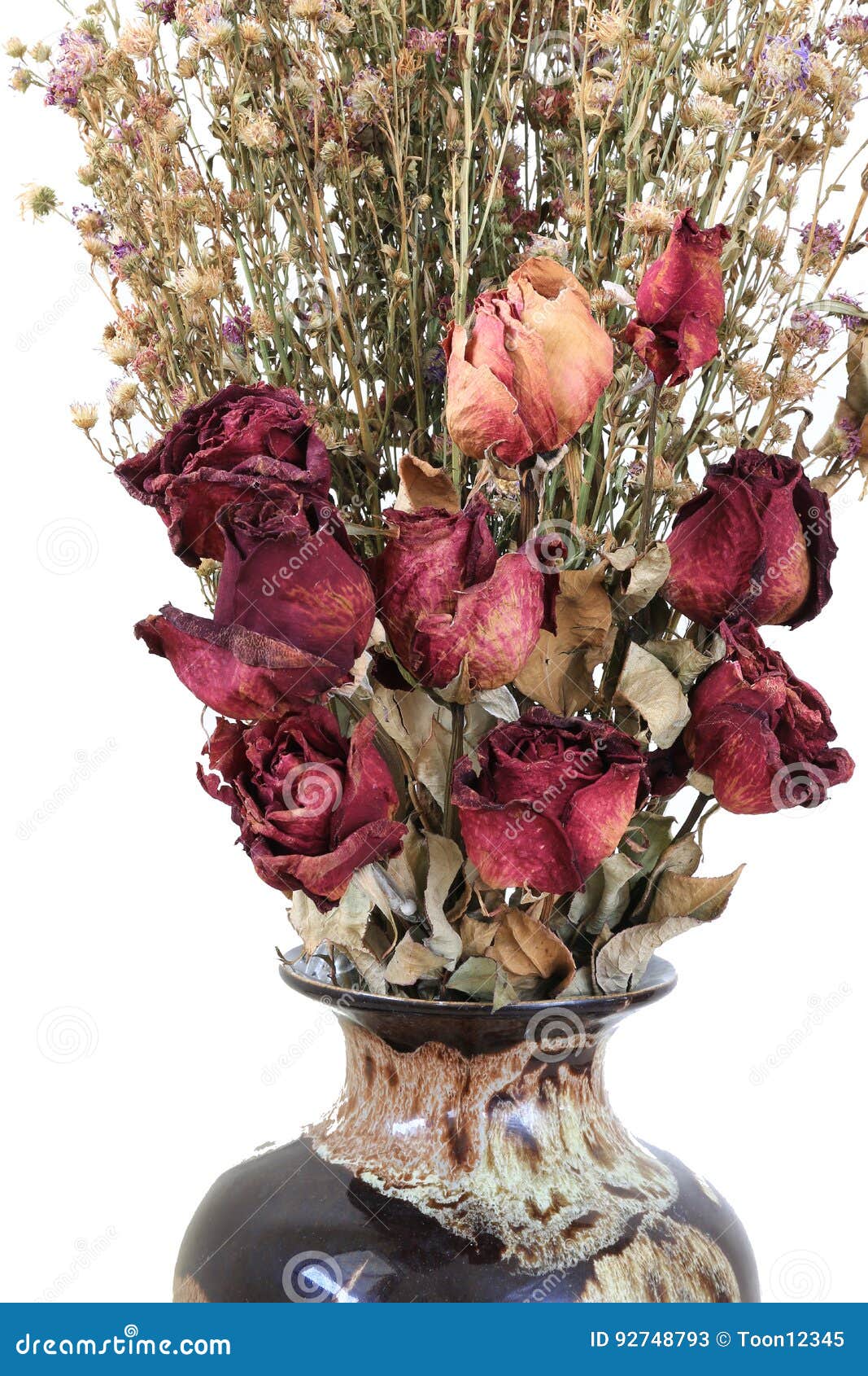 Dead Rose in Vase on White Background. Stock Image Image of rotting, bunch 92748793