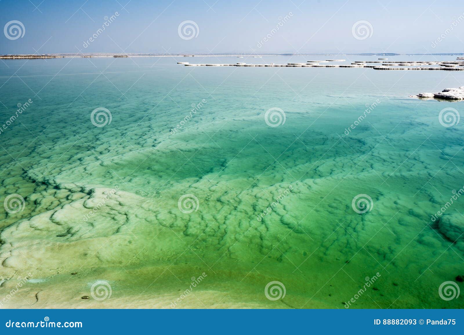 Dead Sea Stock Image Image Of Mineral Desert Coast 88882093