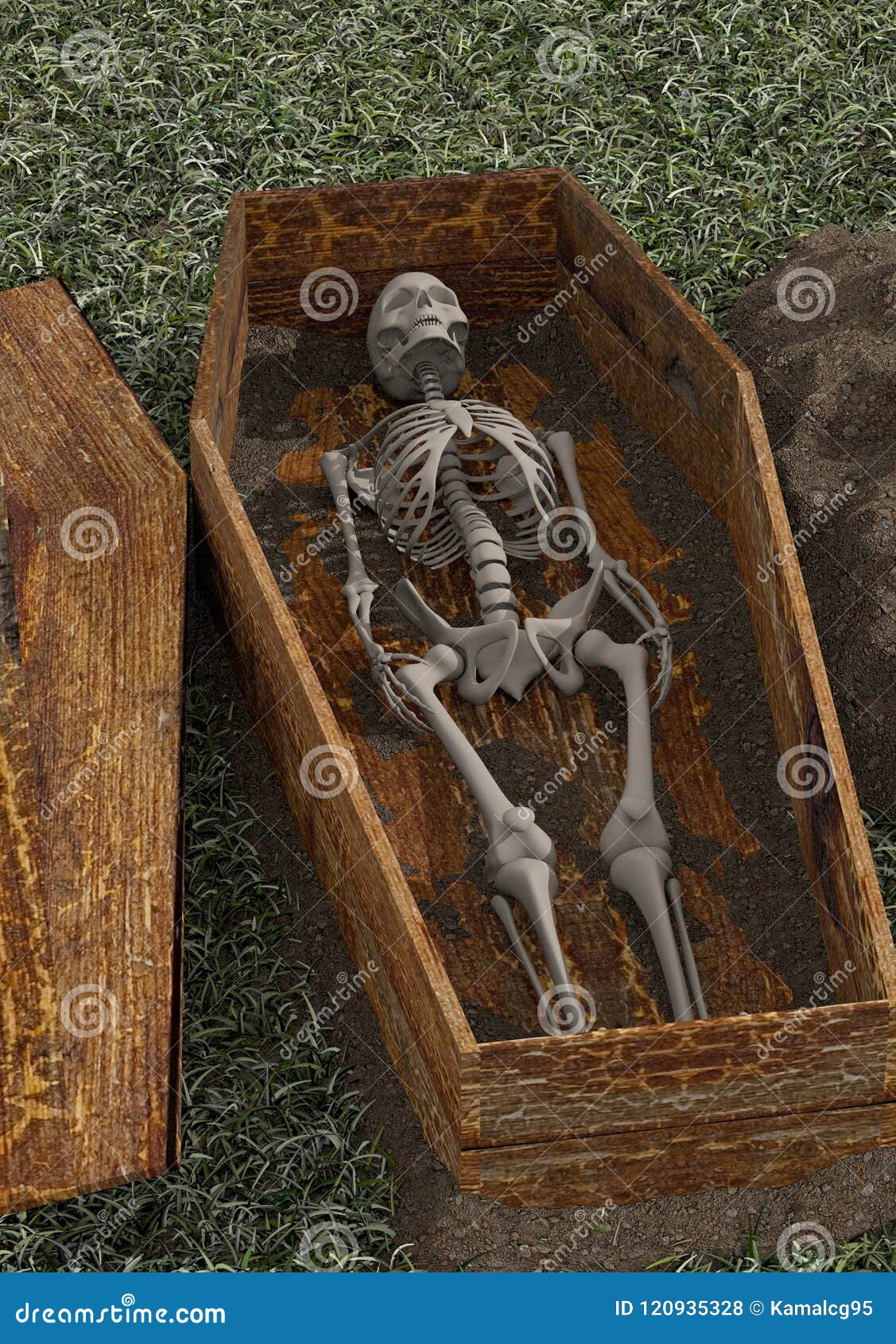 3-Dimensional coffin with skeleton Dia de los Muertos Day of the Dead