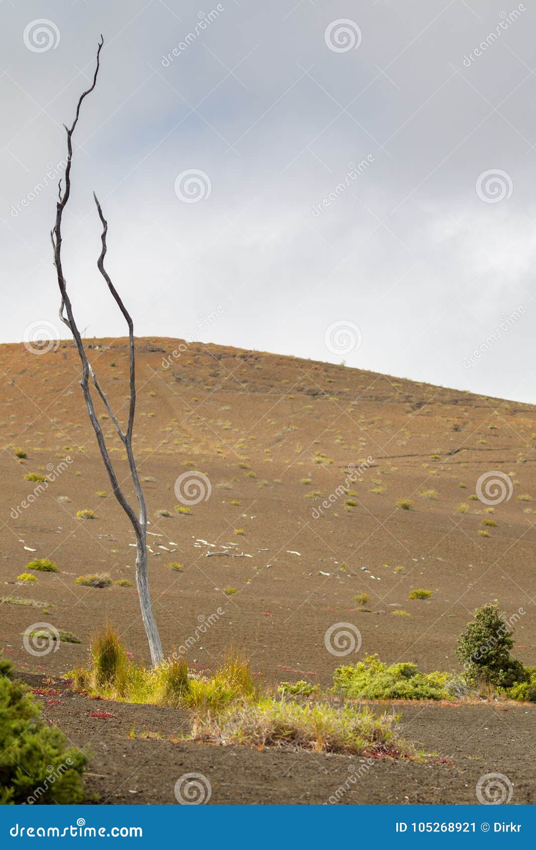 Devastation Trail Stock Image Image Of North Tourism 105268921