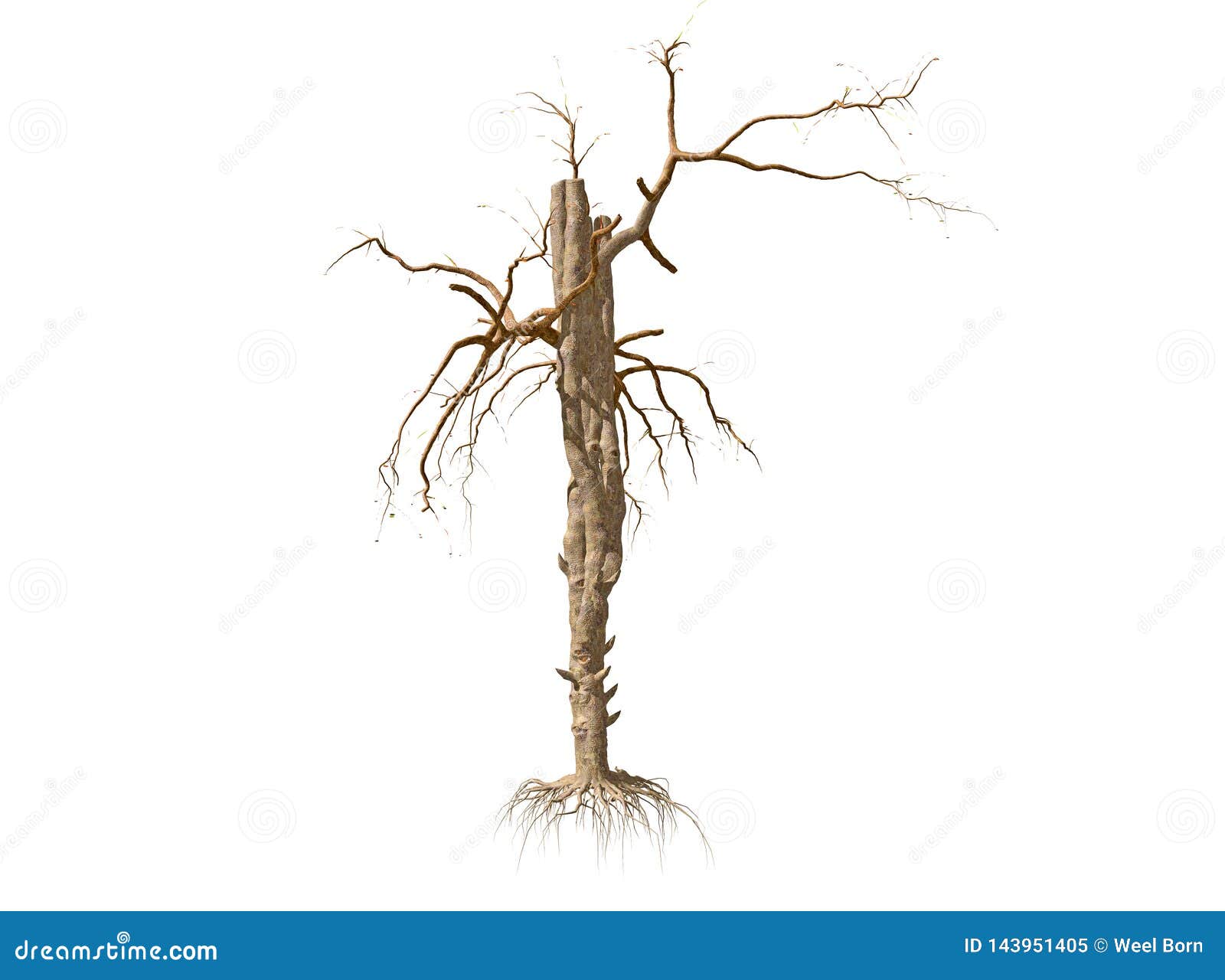Dead Tree Isolated Over A White Background Stock Illustration