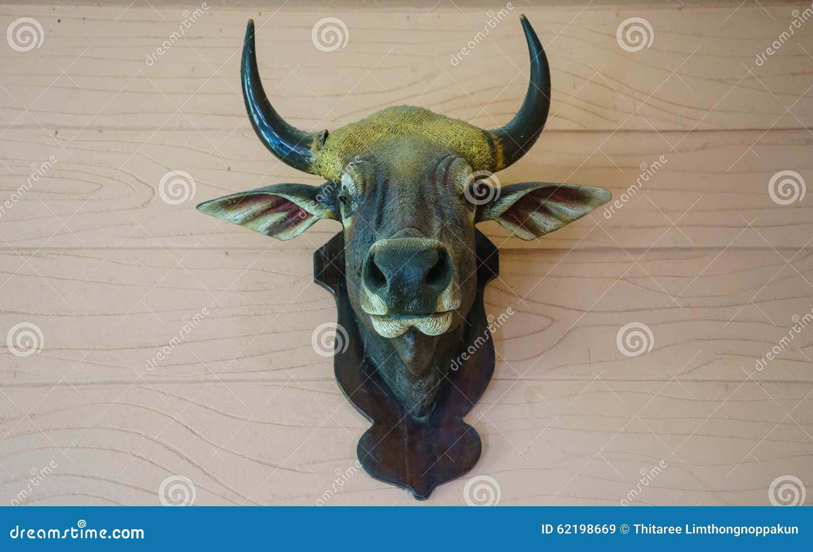 Dead Wild Ox S Head on Wall Stock Image Image of bovine, male 62198669