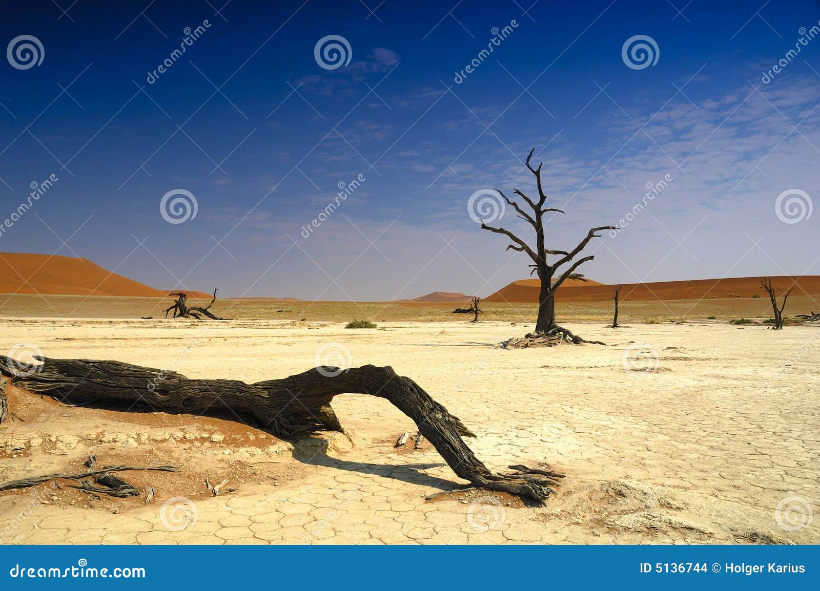 deadvlei (namib desert)