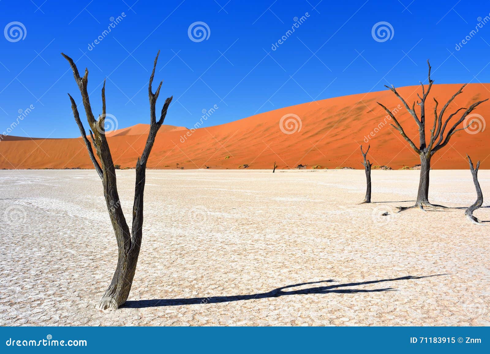 deadvlei, sossusvlei. namibia