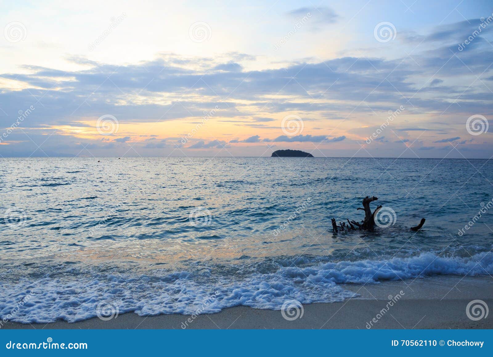 Death Root Tree Wood on Coast Beach and Clear Yellow Sand, Warm ...