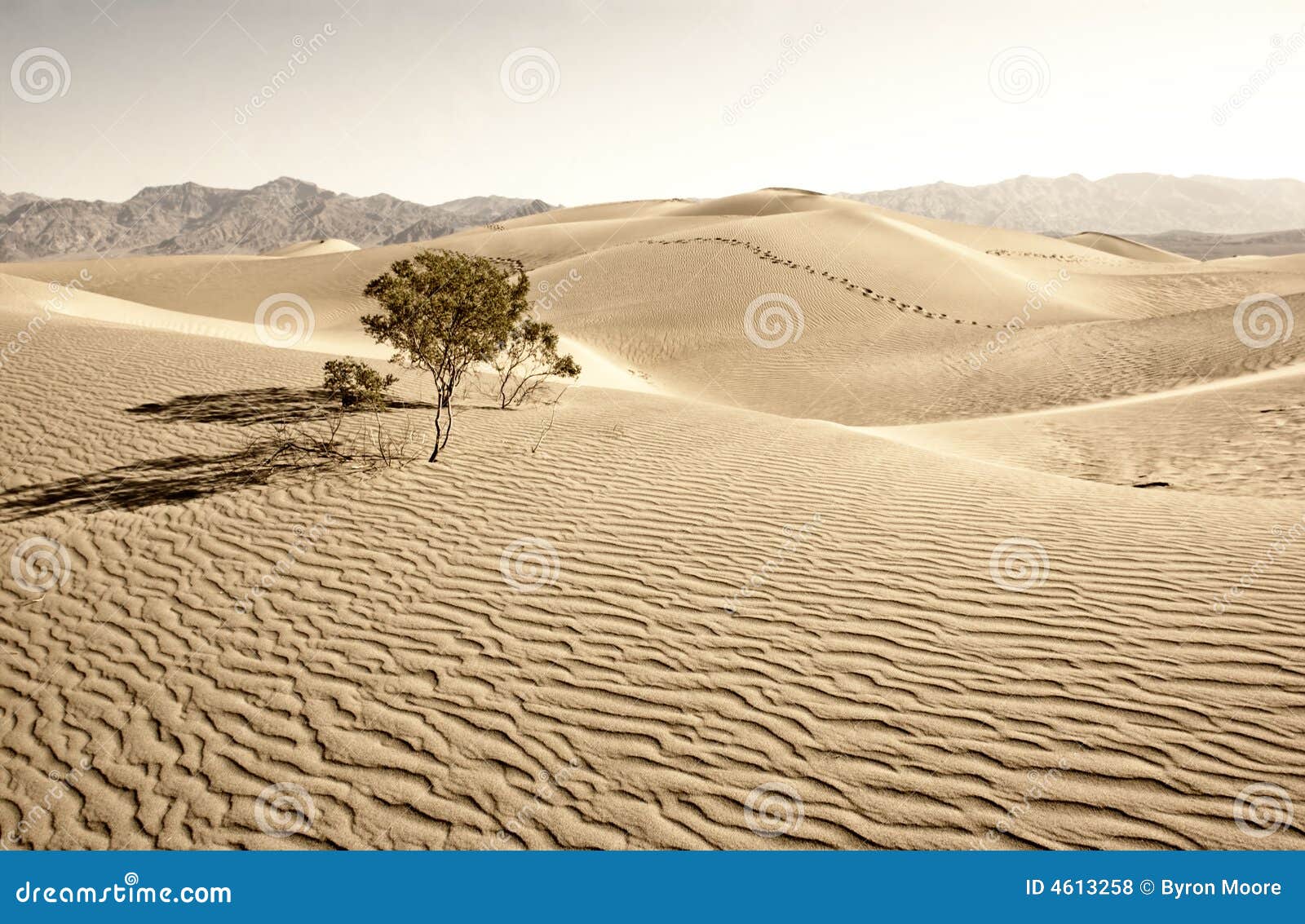 death valley