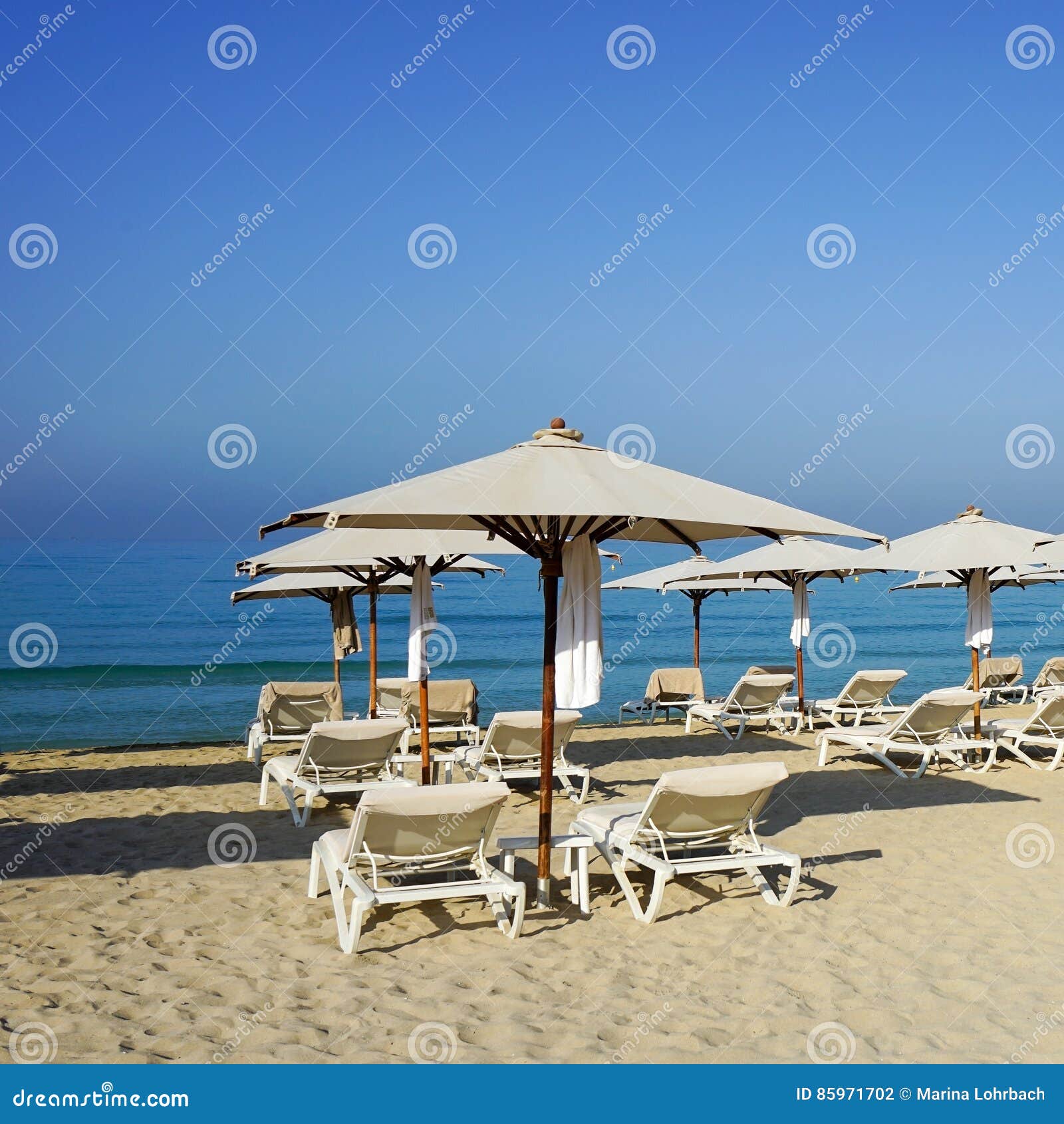 Deck Chairs and Parasols on Beach Stock Photo Image of baleares