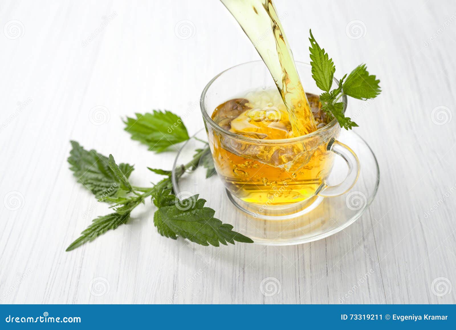 Decoction of Nettle, Herbal Tea with Nettle Stock Image Image of