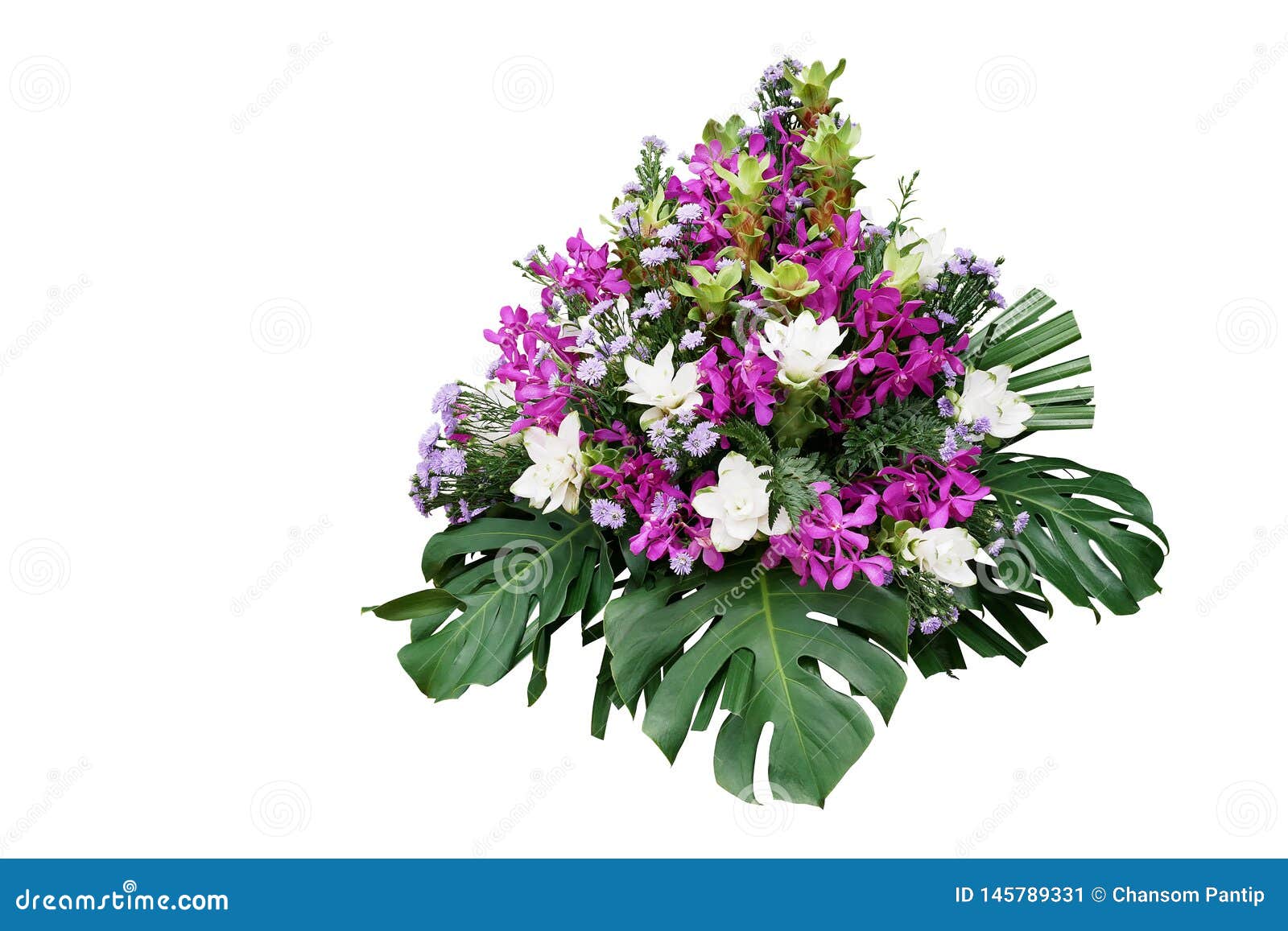Decoração Floral Do Casamento Com As Plantas Tropicais Monstera Da Folha, a  Samambaia, a Palma De Senhora E As Orquídeas Roxas E Imagem de Stock -  Imagem de arbusto, floresta: 145789331