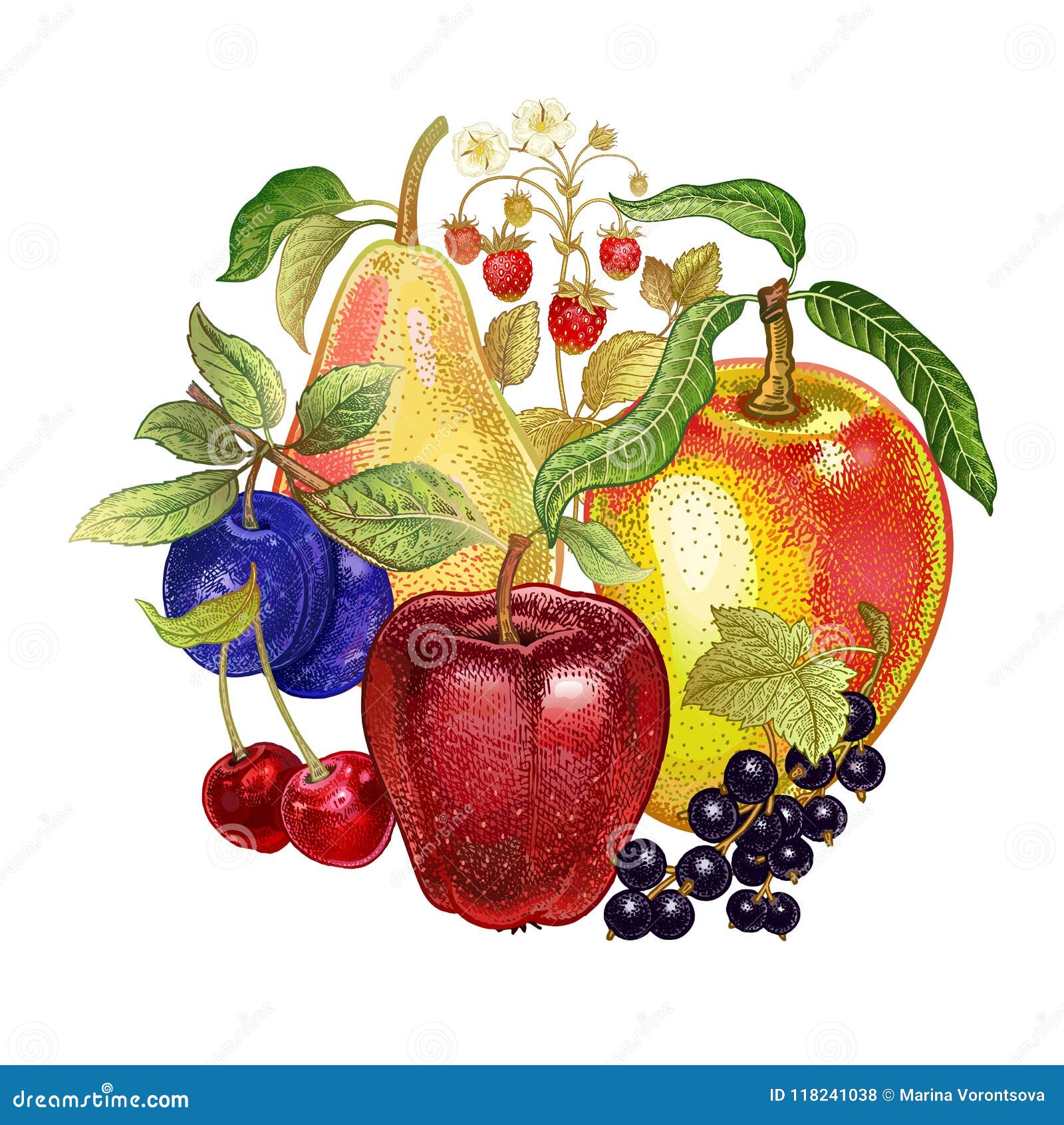 Decoración Con Las Frutas Realistas Ilustración del Vector - Ilustración de  fresco, postre: 118241038